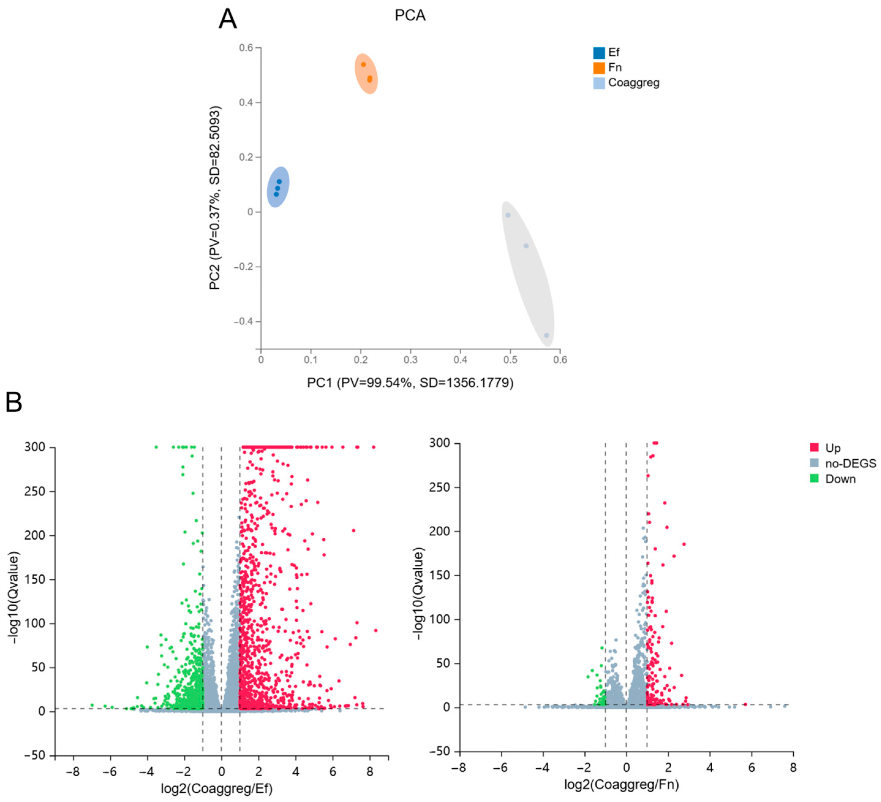 Microorganisms 13 01351 g004