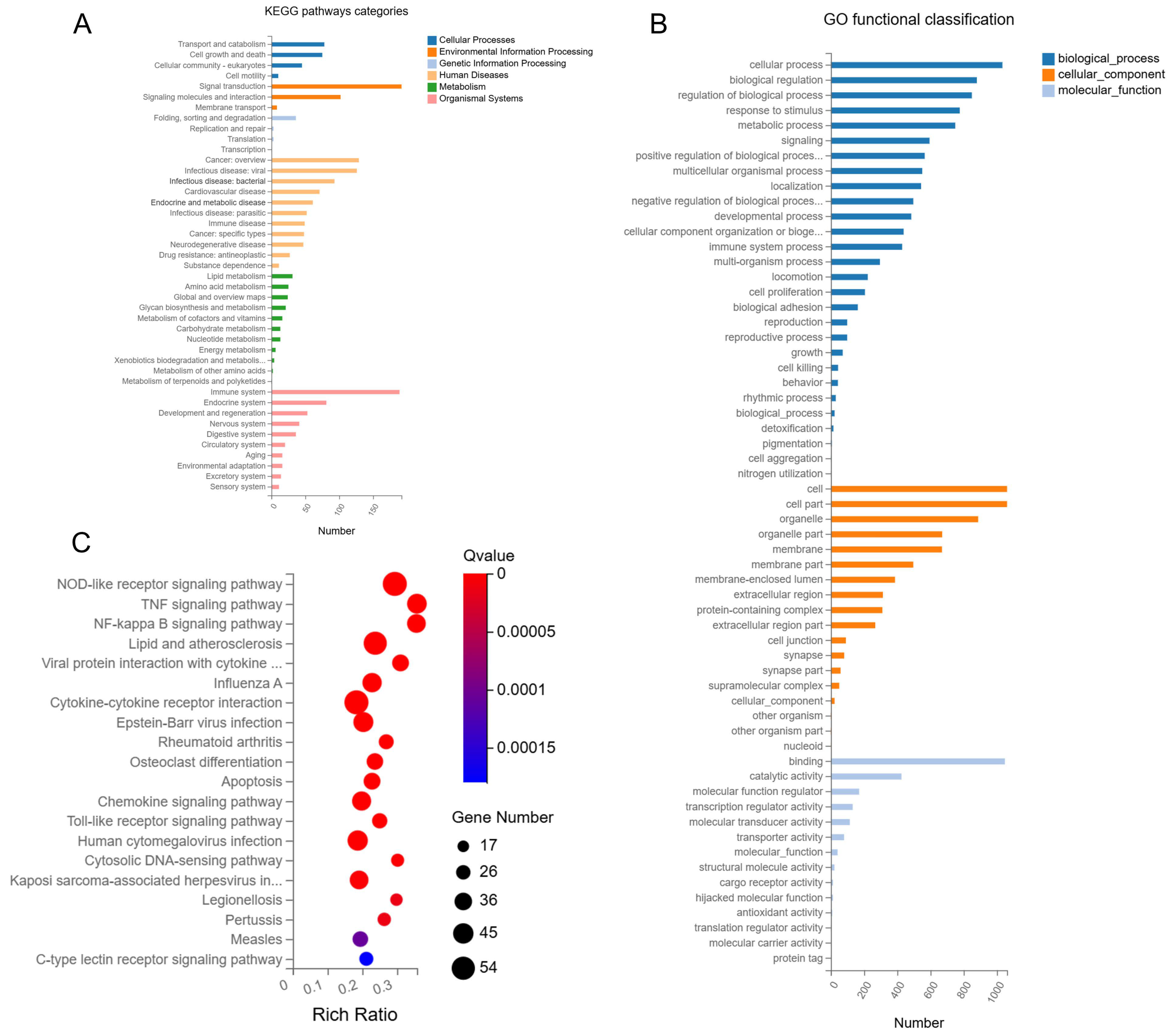 Microorganisms 13 01351 g005