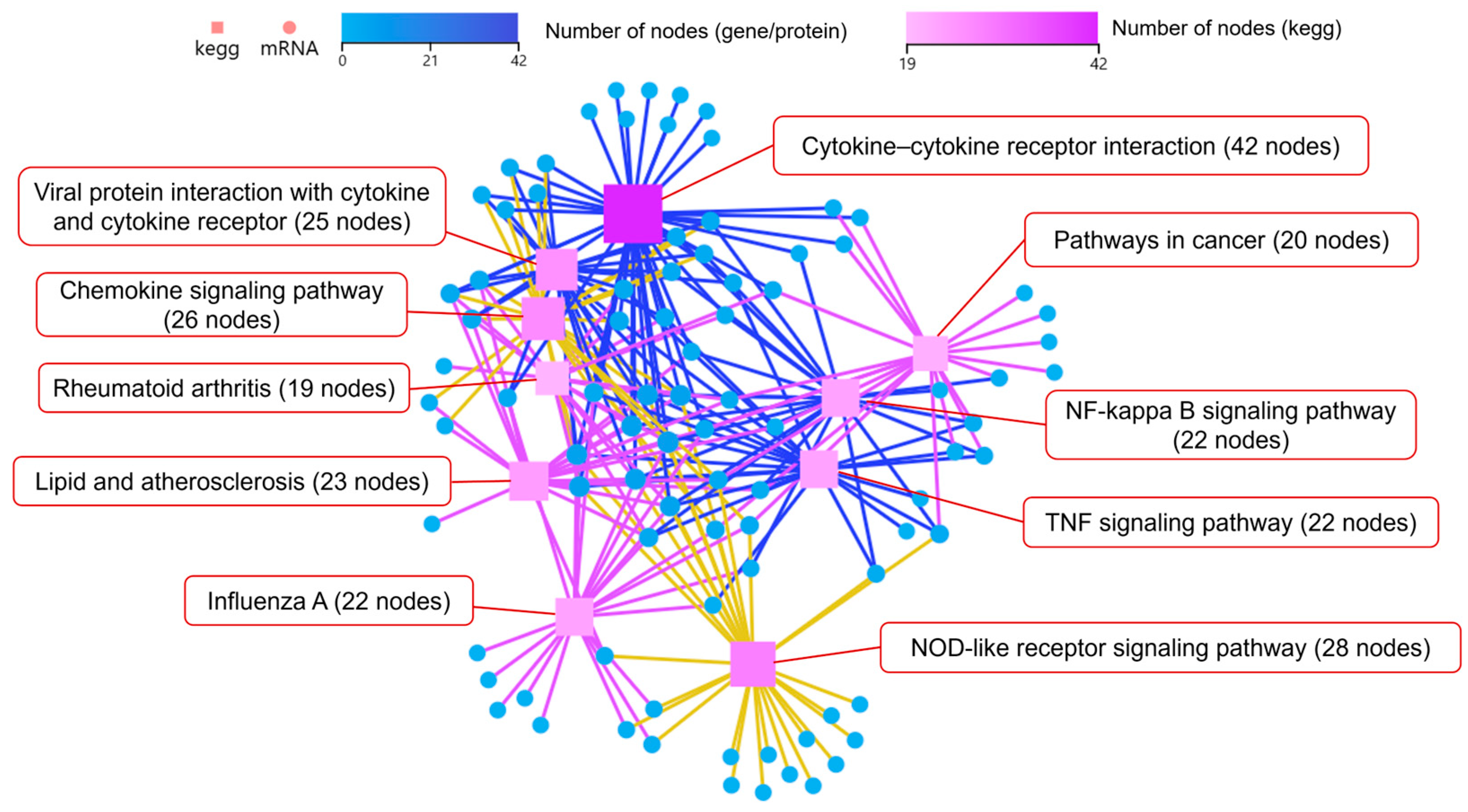 Microorganisms 13 01351 g006