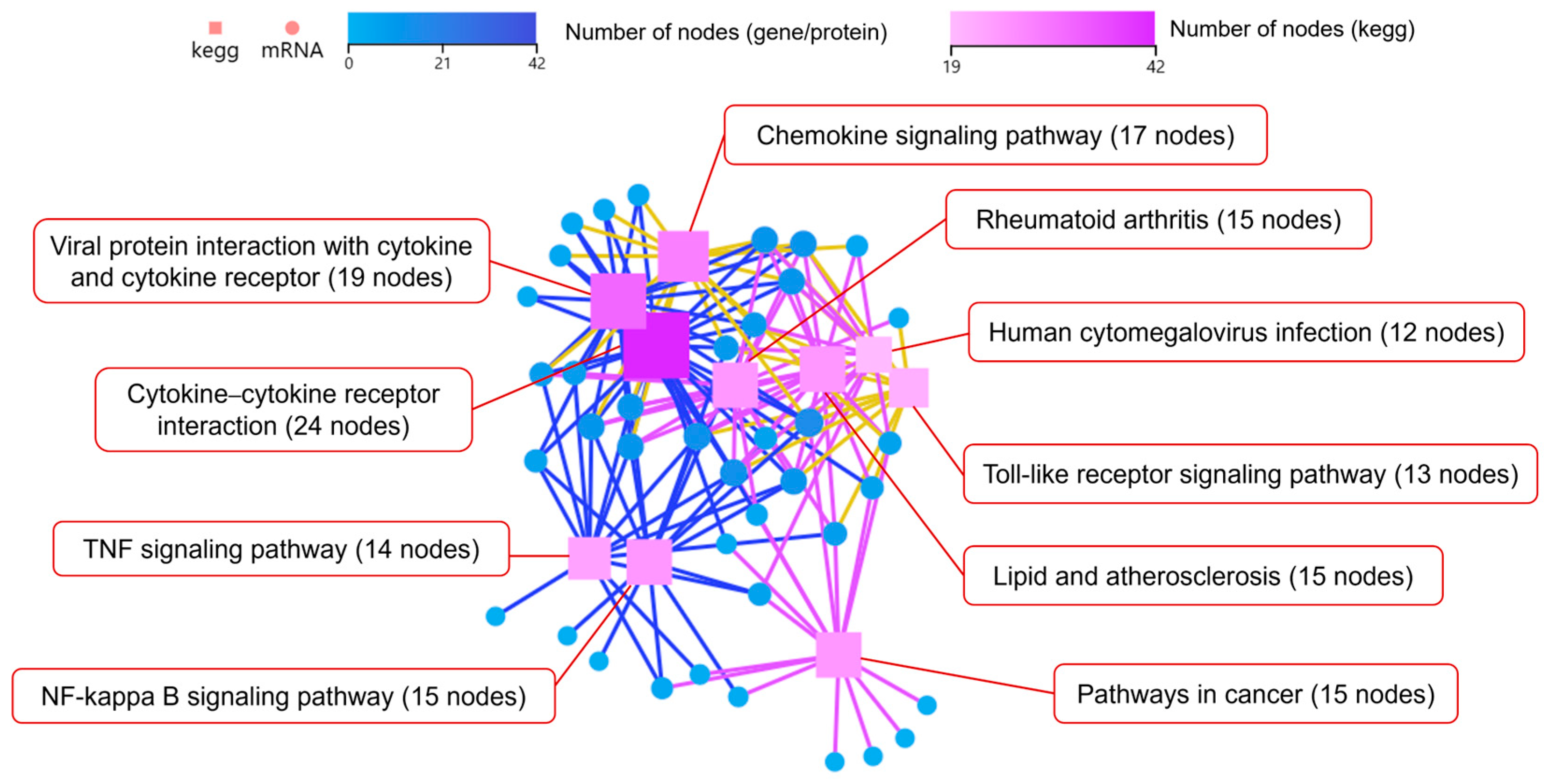 Microorganisms 13 01351 g009