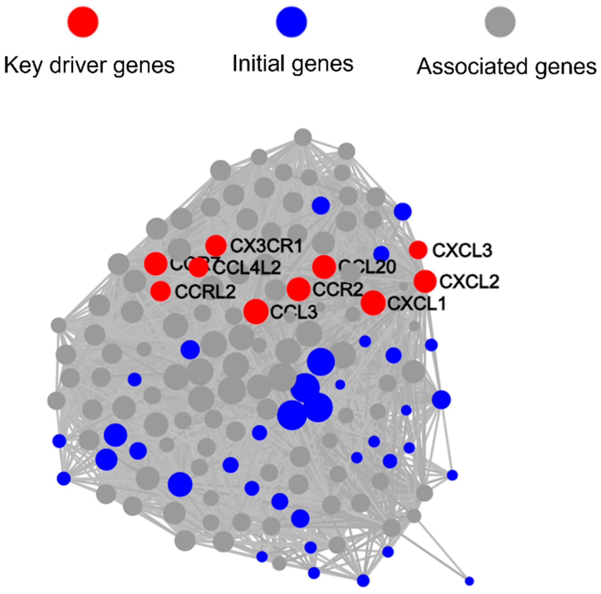 Microorganisms 13 01351 g010
