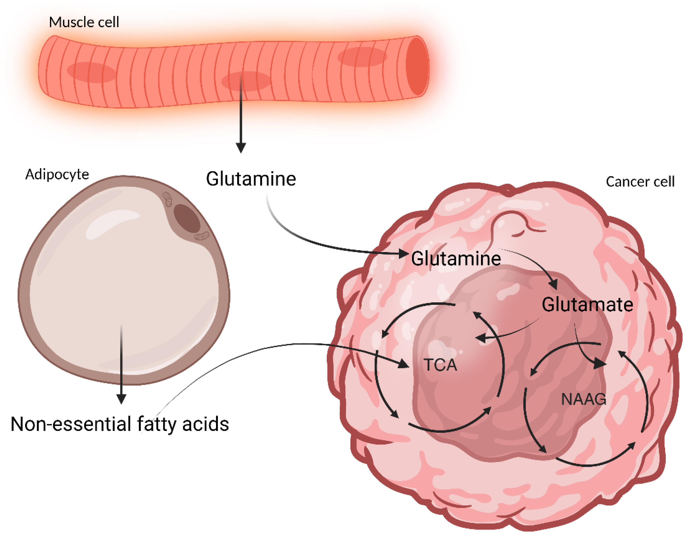 Microorganisms 13 01356 g001 Microorganisms 13 01356 g001
