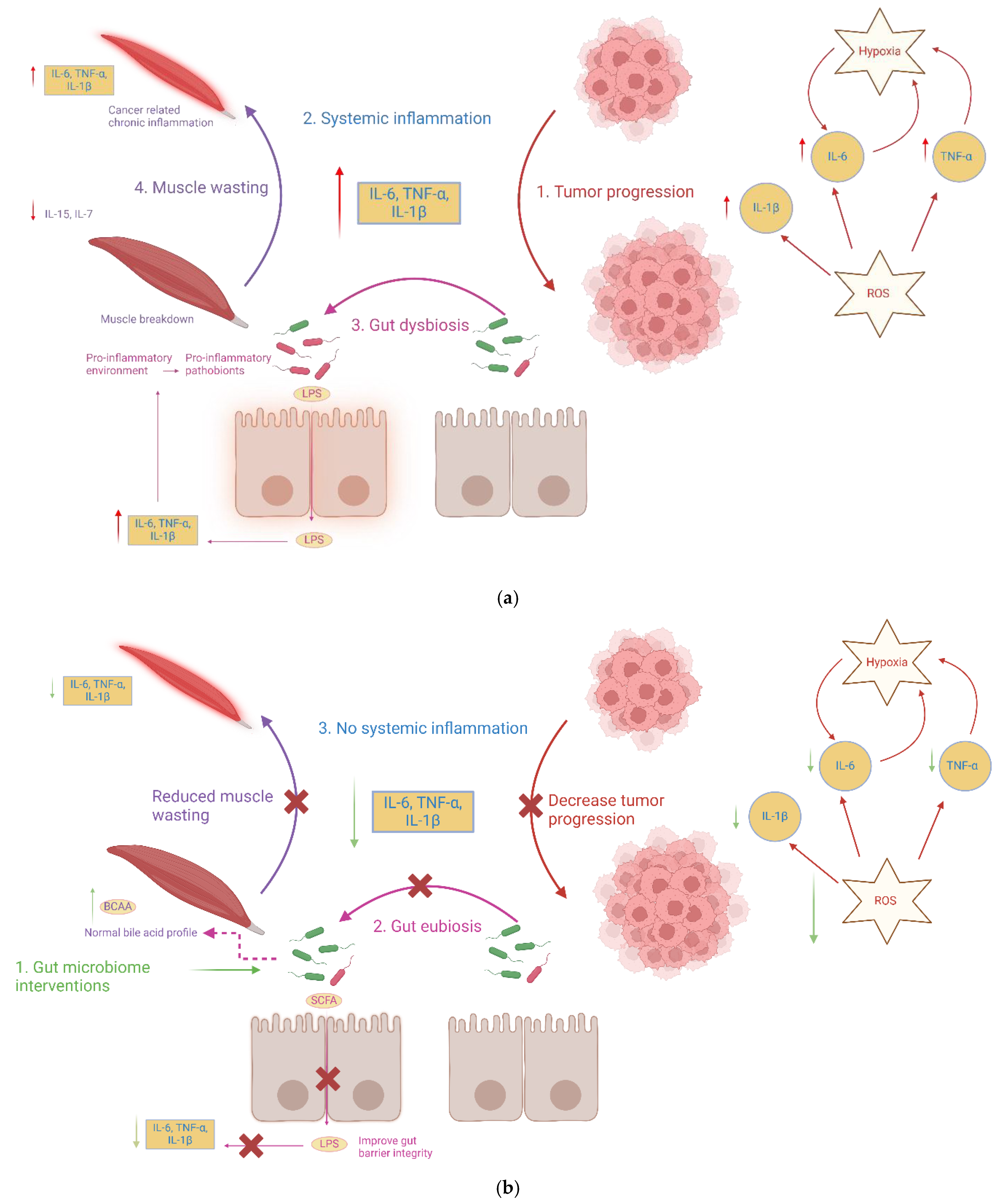 Microorganisms 13 01356 g002 Microorganisms 13 01356 g002