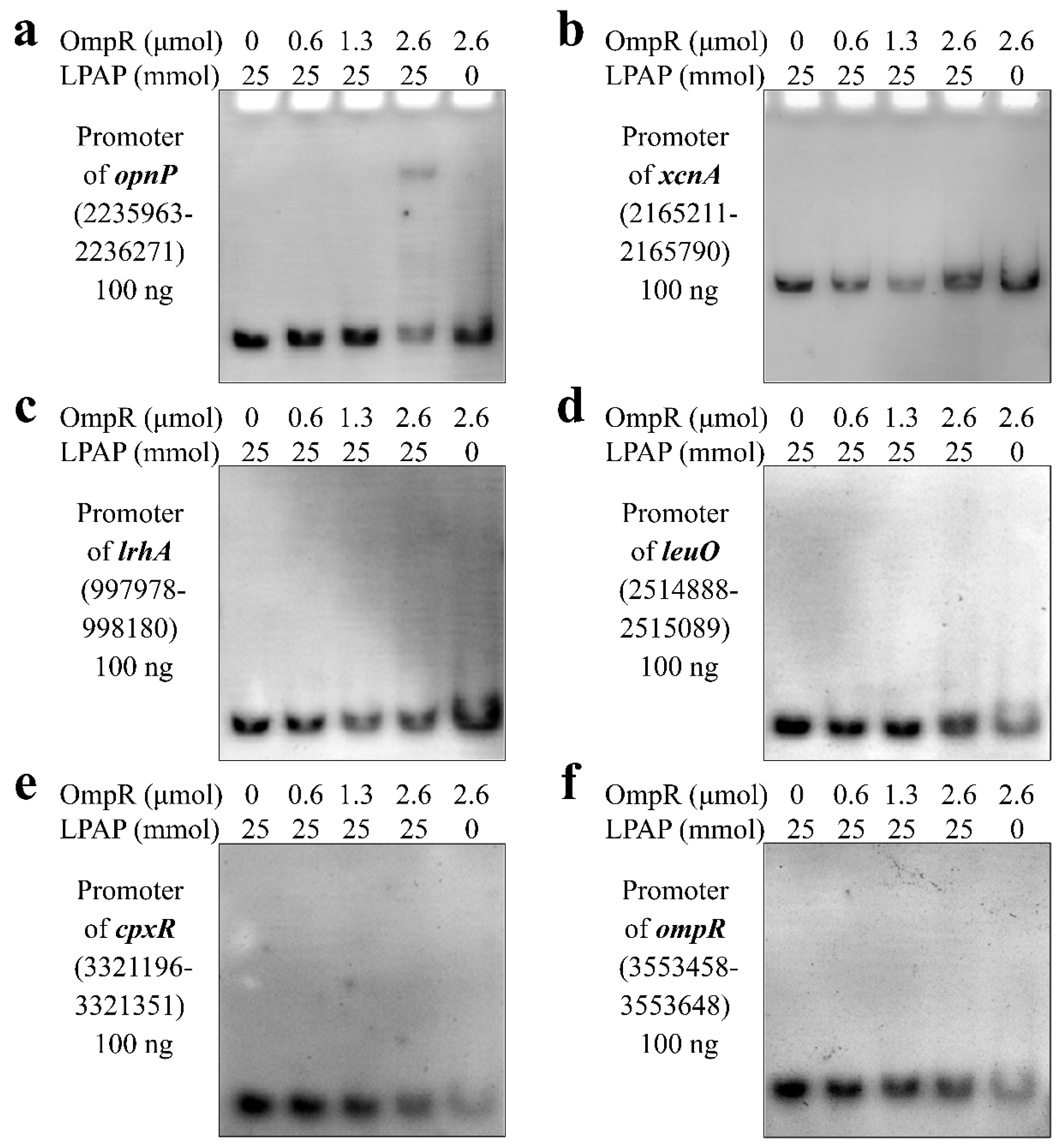 Microorganisms 13 01360 g002