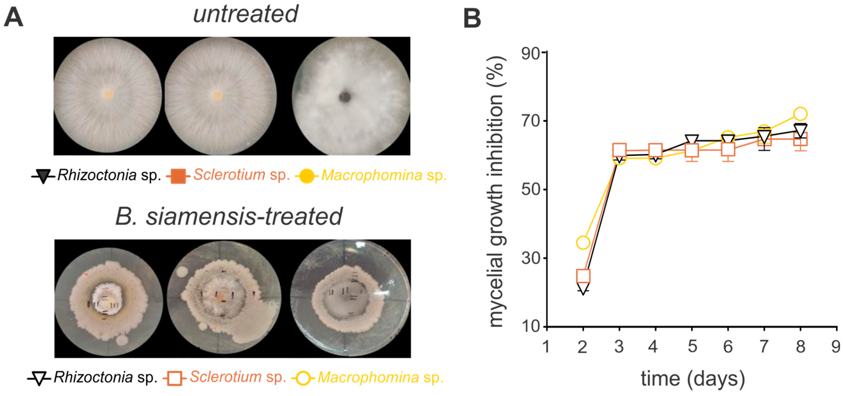 Microorganisms 13 01366 g003