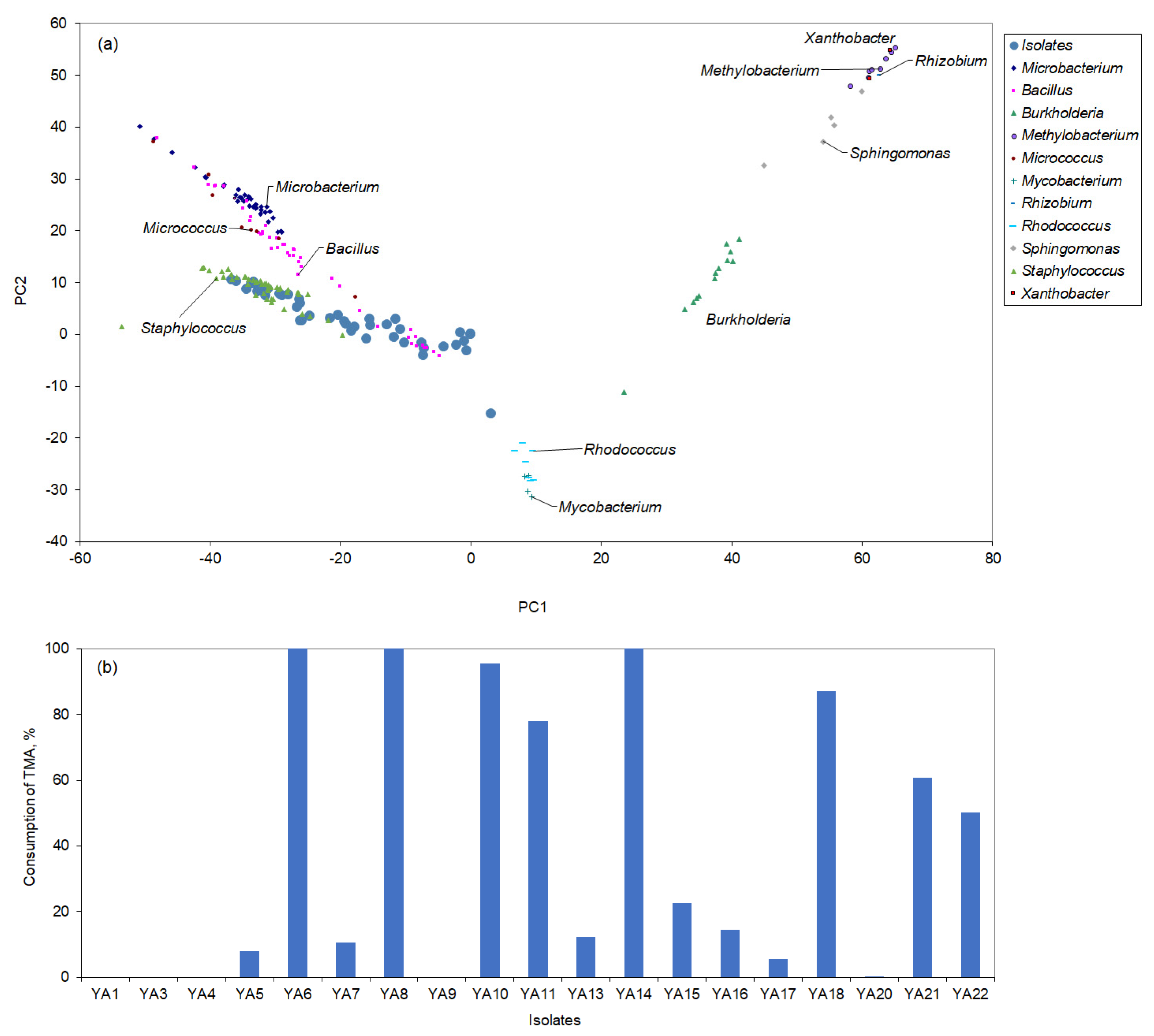 Microorganisms 13 01369 g001