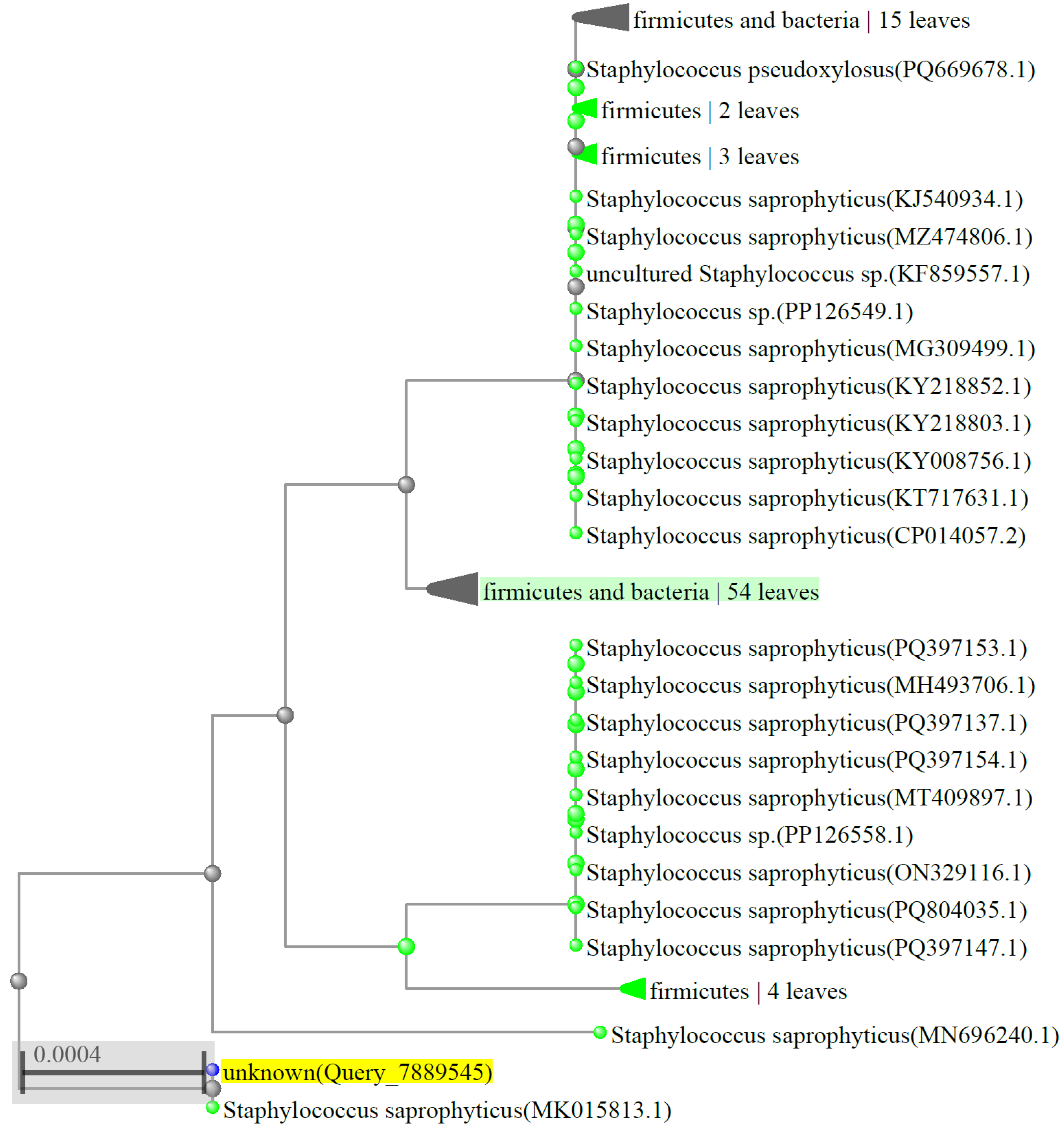 Microorganisms 13 01369 g002