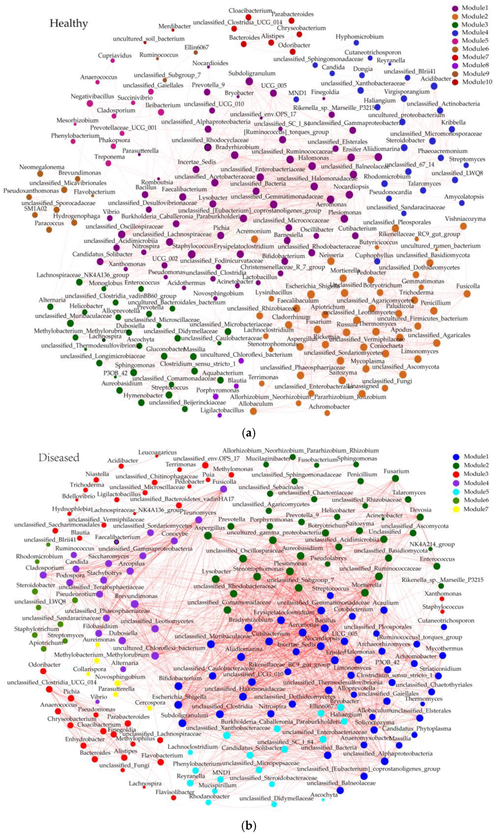 Microorganisms 13 01371 g007
