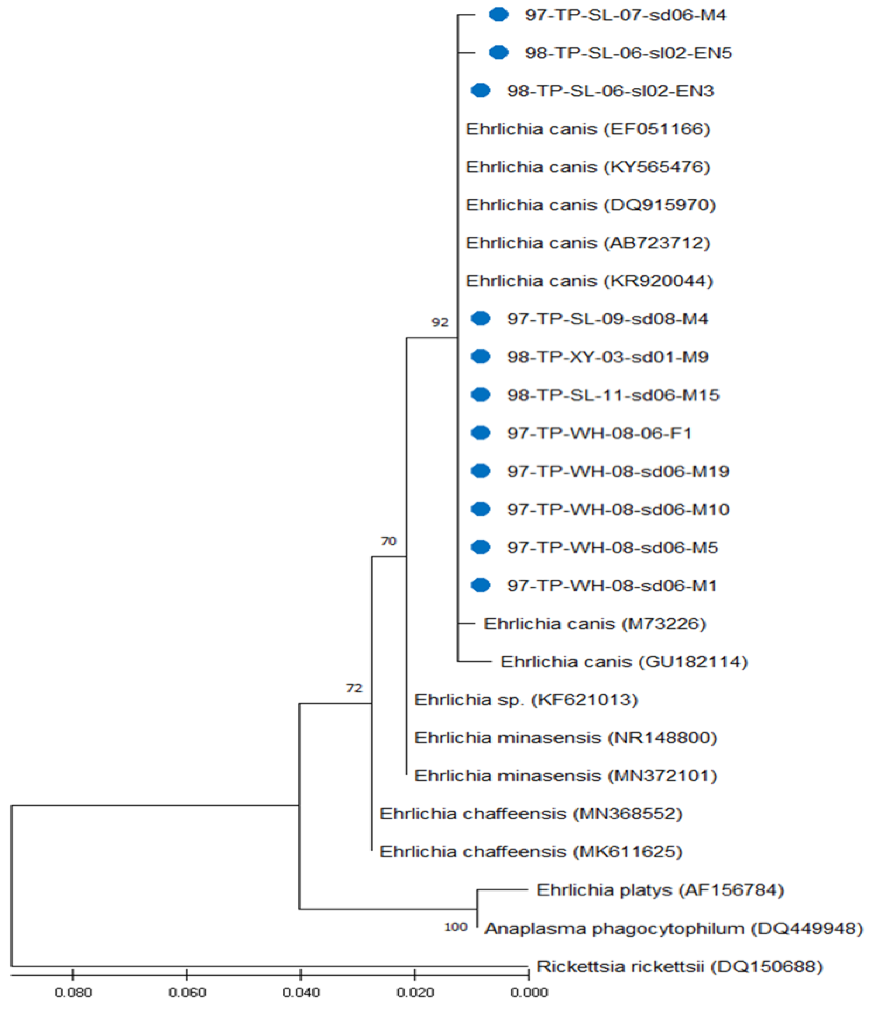 Microorganisms 13 01372 g003