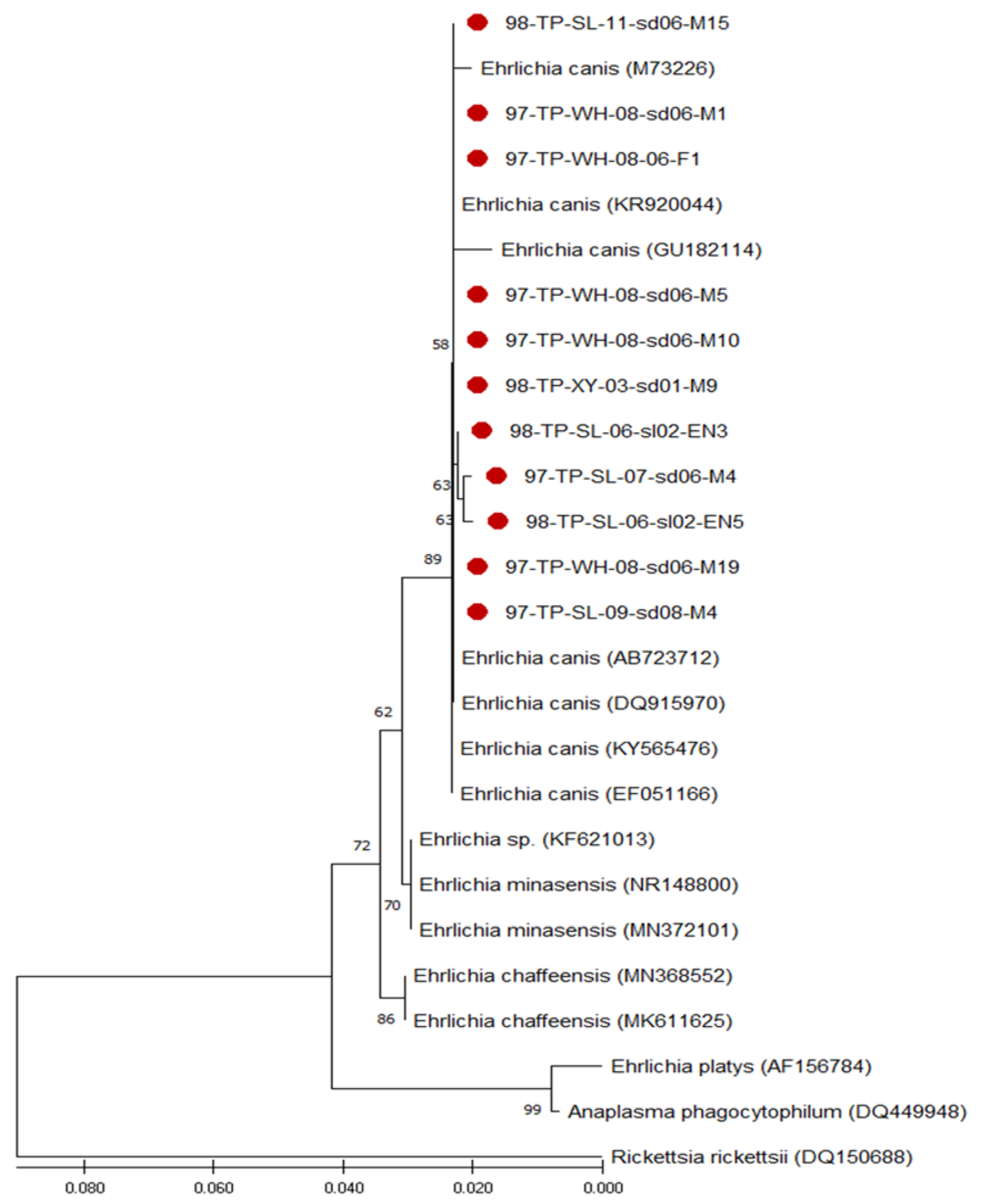 Microorganisms 13 01372 g004