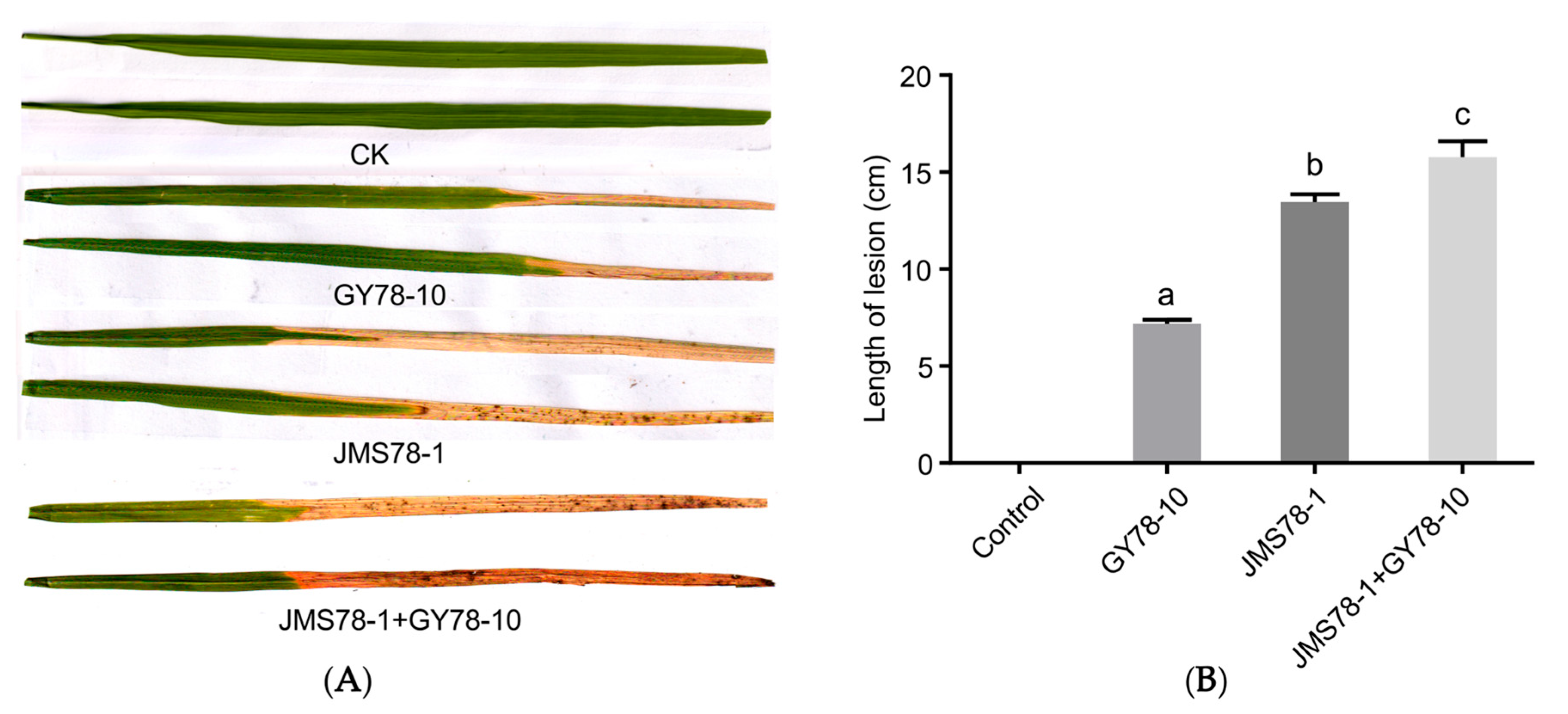 Microorganisms 13 01376 g003