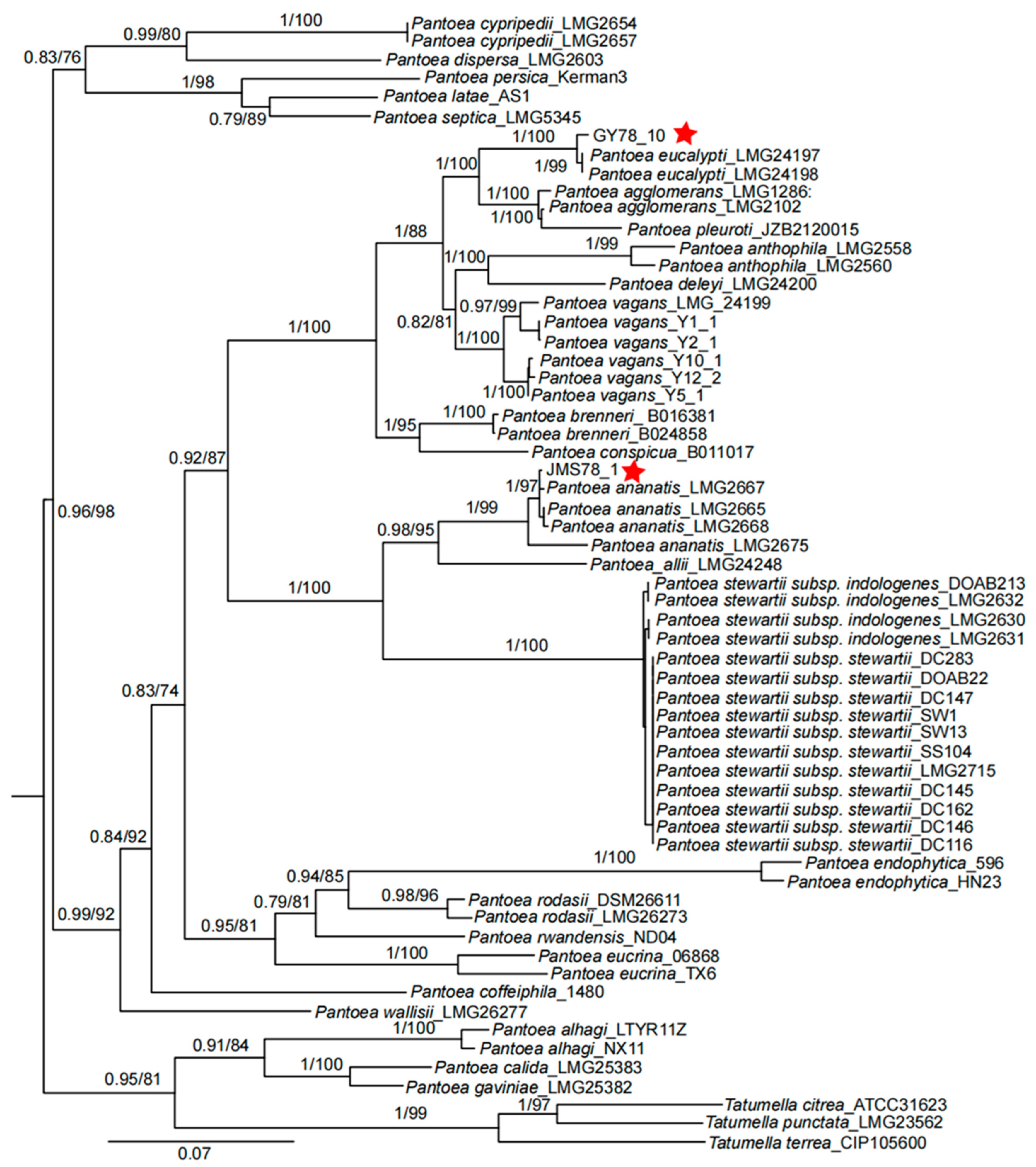 Microorganisms 13 01376 g004