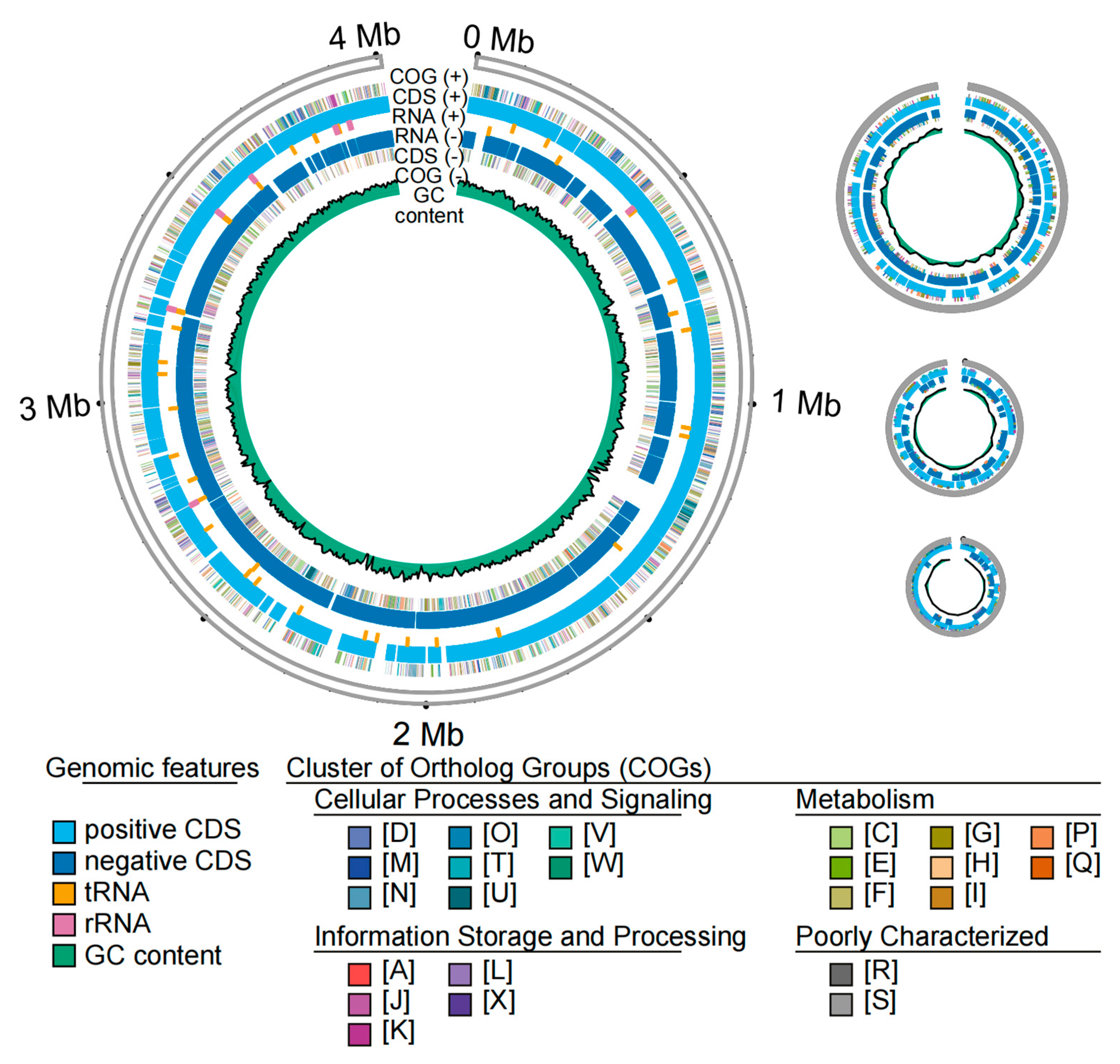 Microorganisms 13 01376 g005