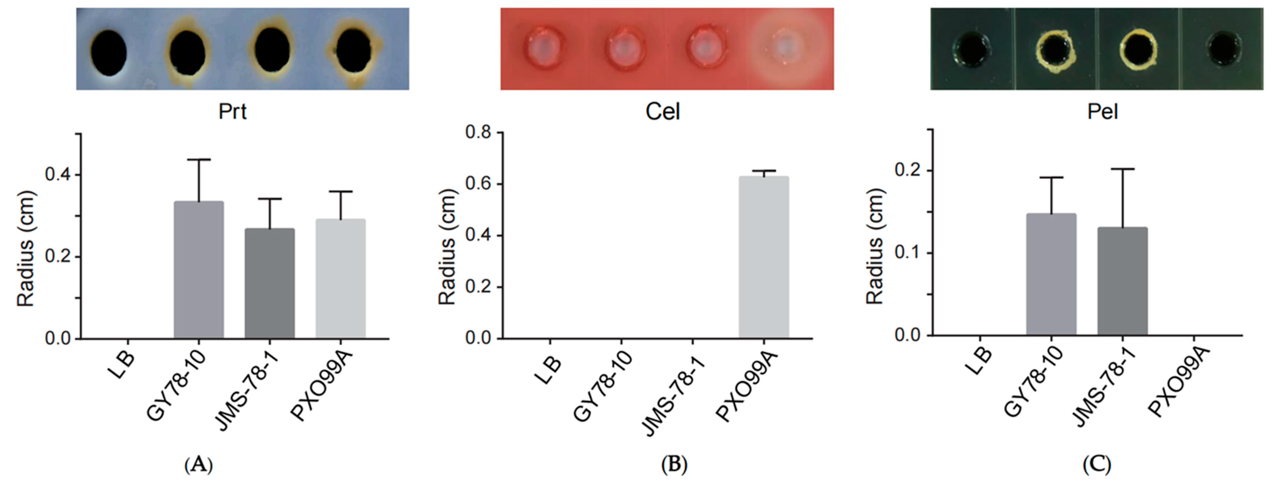 Microorganisms 13 01376 g006