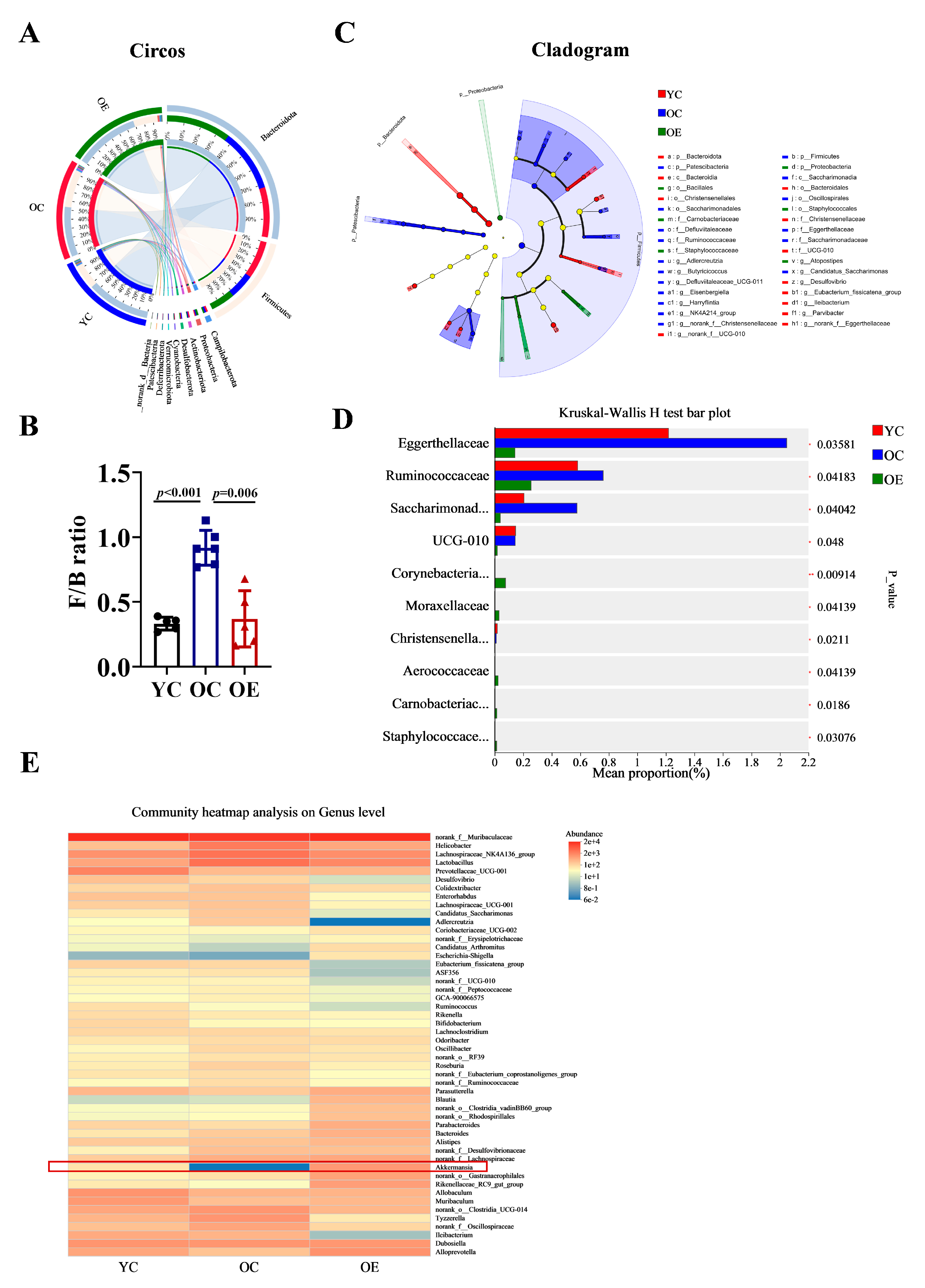Microorganisms 13 01379 g003