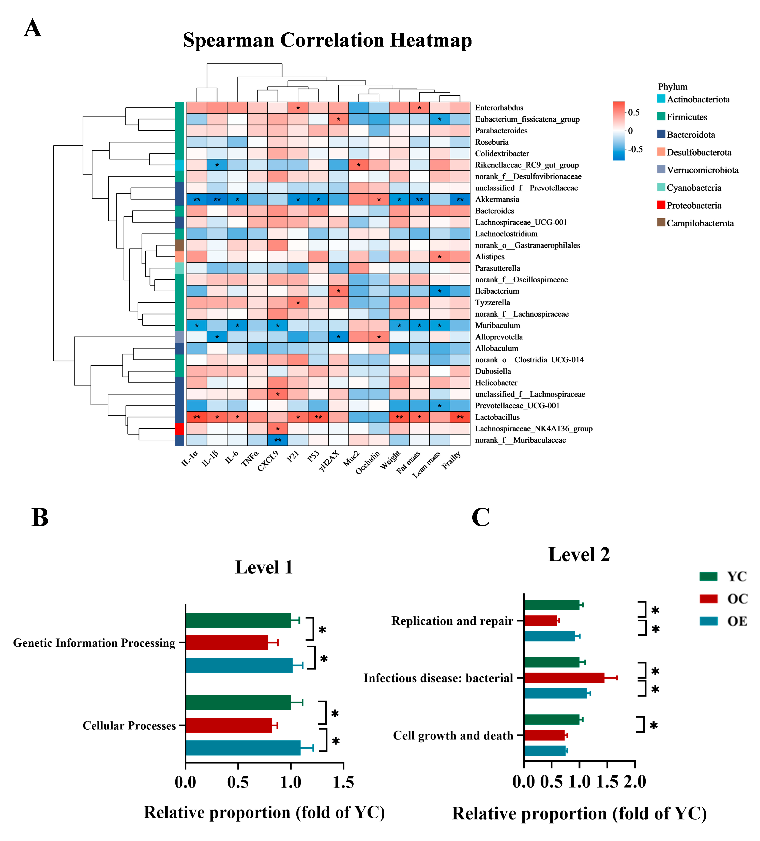 Microorganisms 13 01379 g004