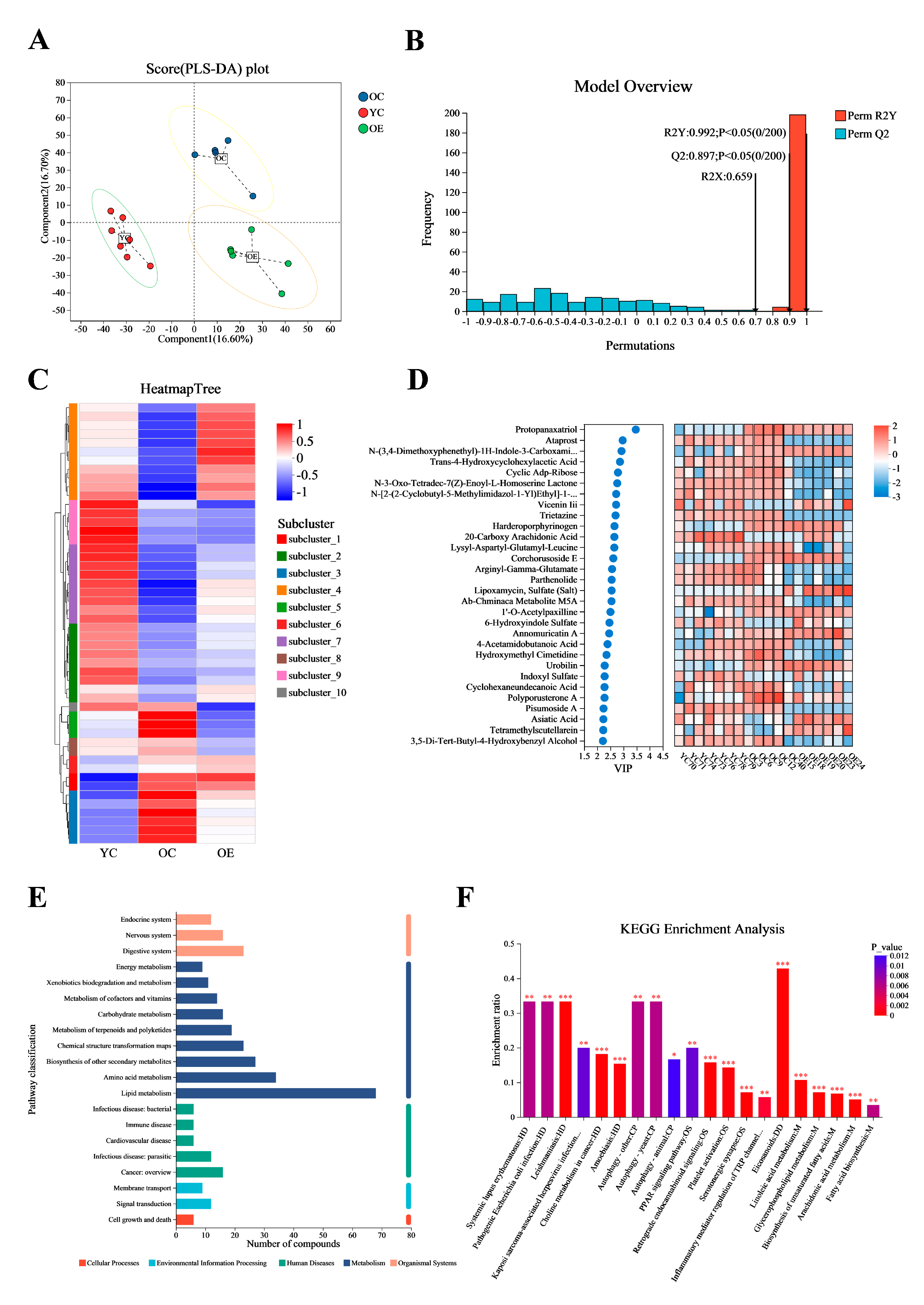 Microorganisms 13 01379 g005