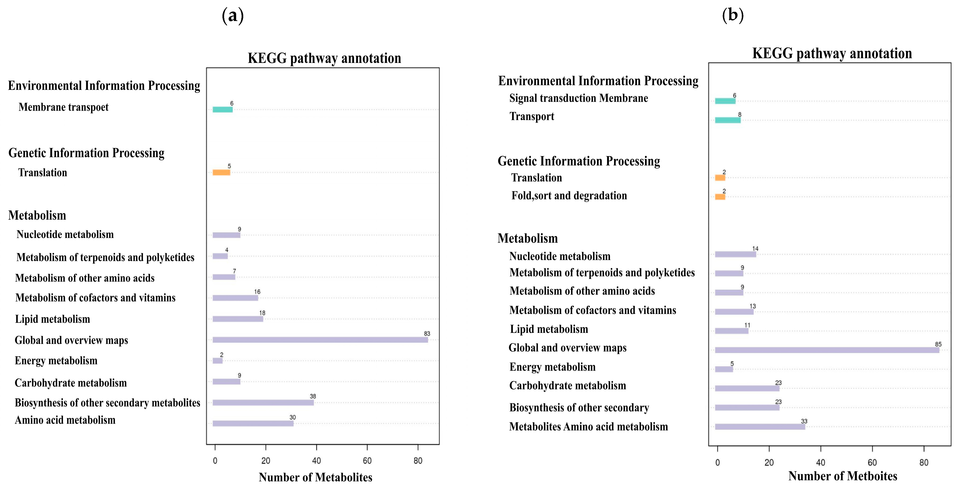 Microorganisms 13 01380 g008