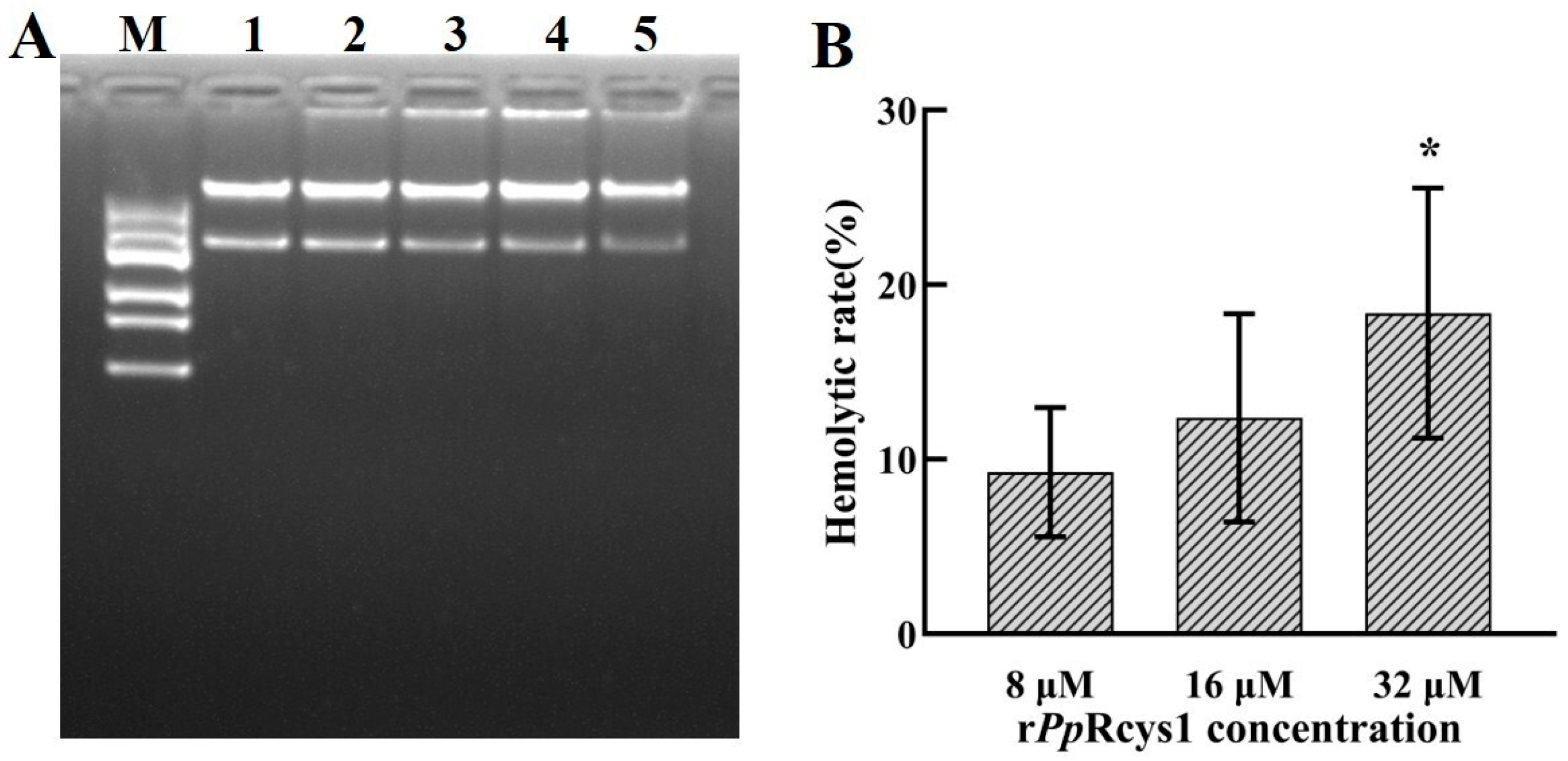 Microorganisms 13 01381 g008 Microorganisms 13 01381 g008