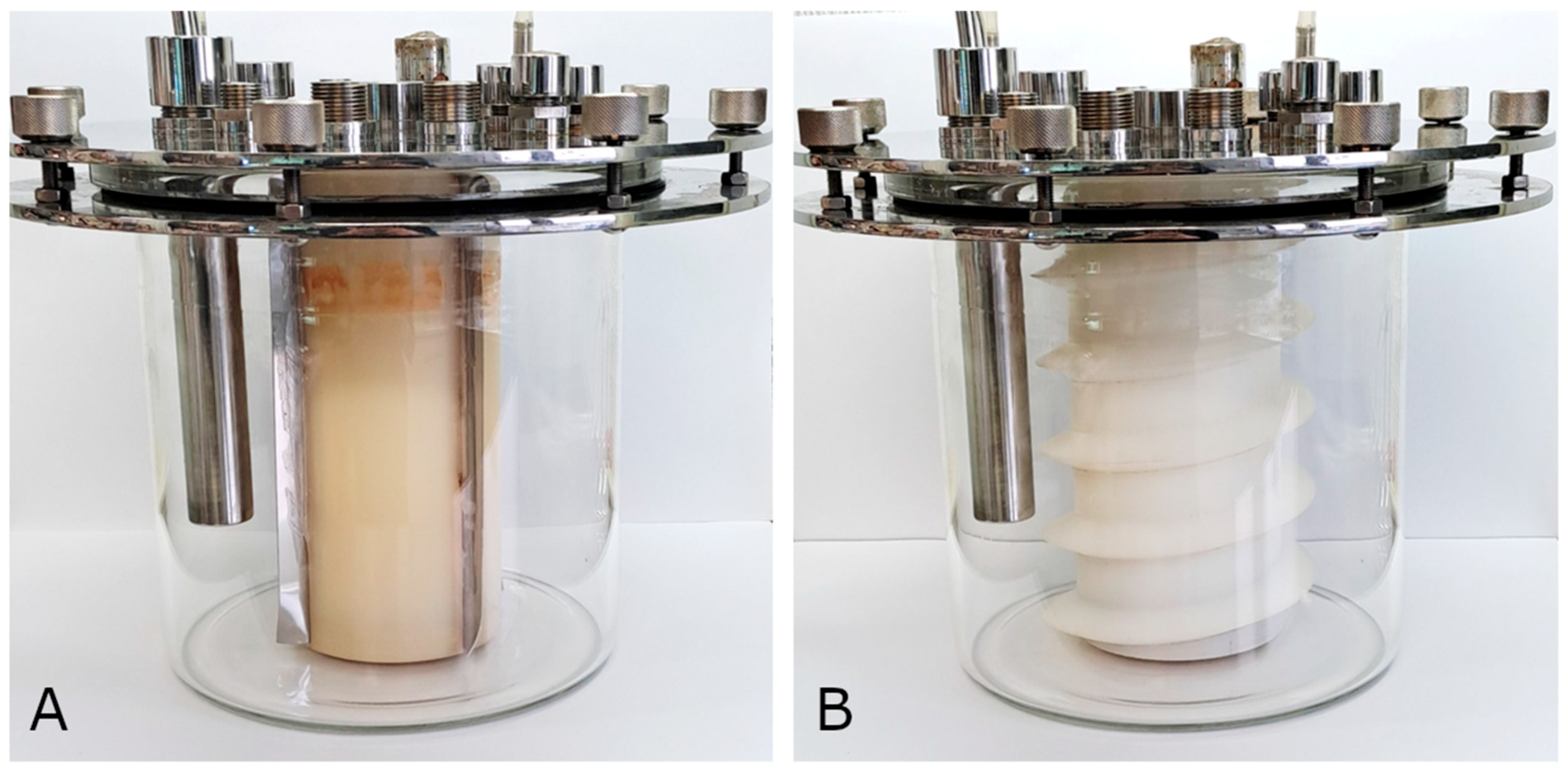 Microorganisms 13 01386 g004