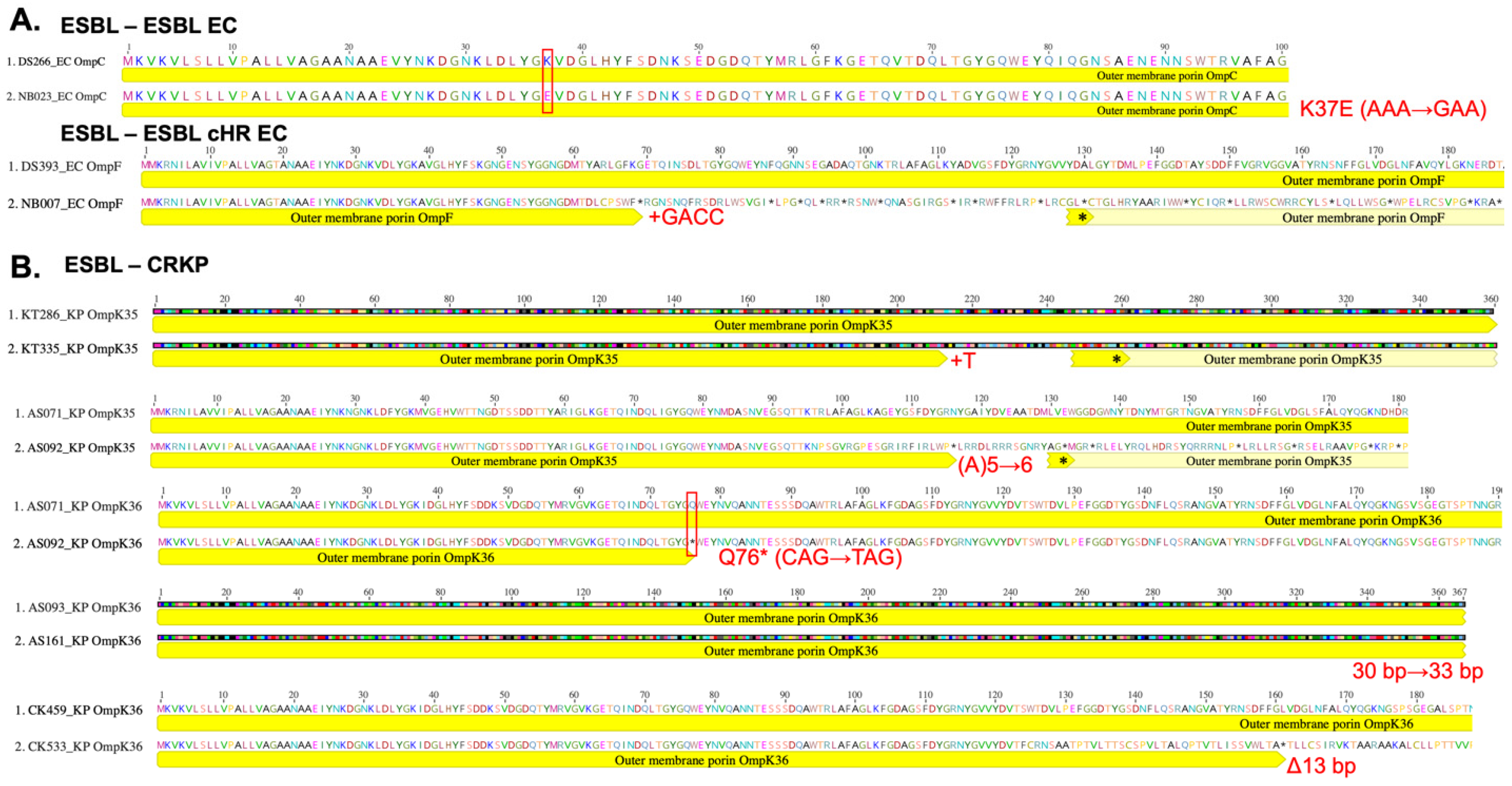 Microorganisms 13 01387 g004