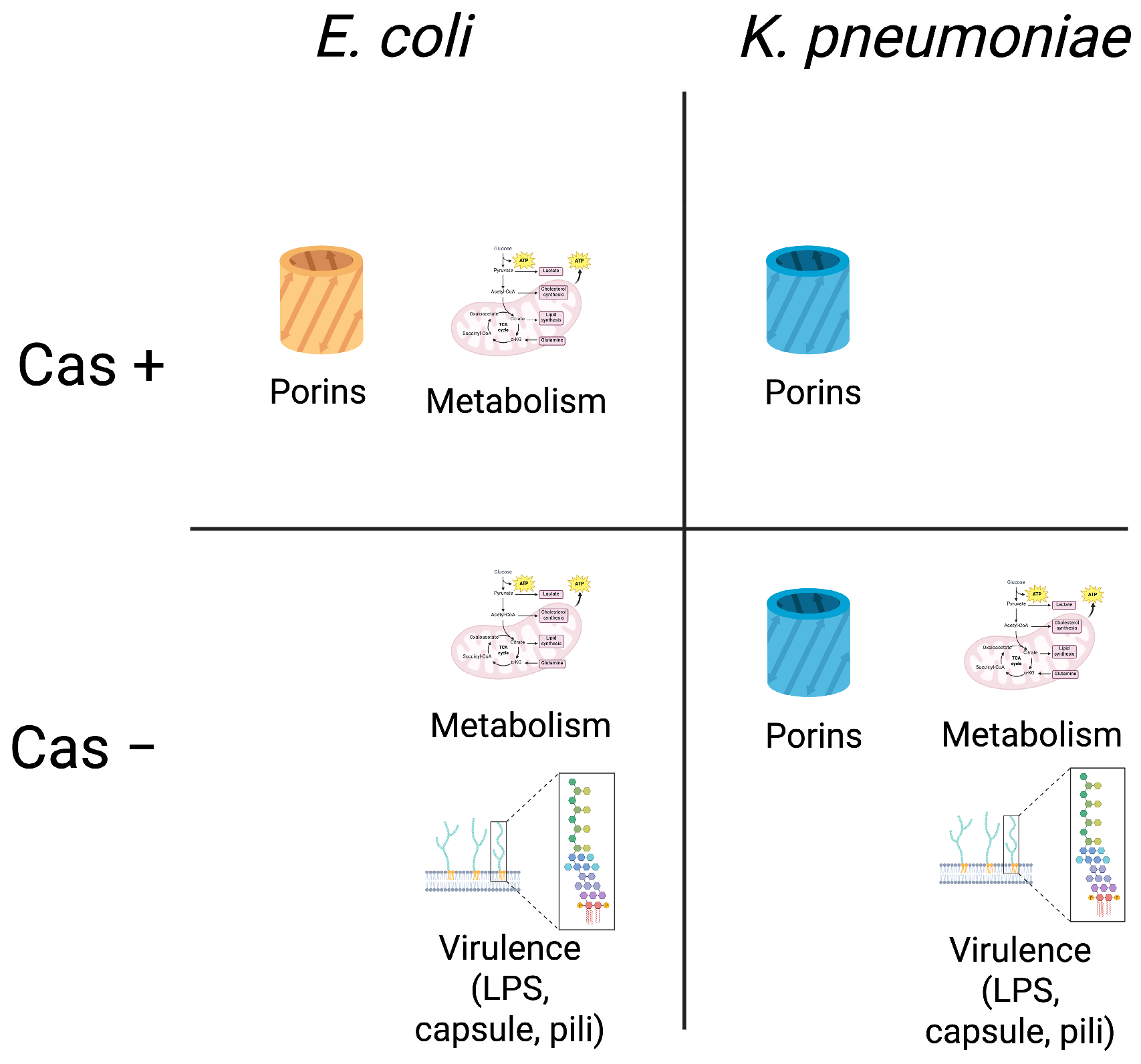 Microorganisms 13 01387 g005