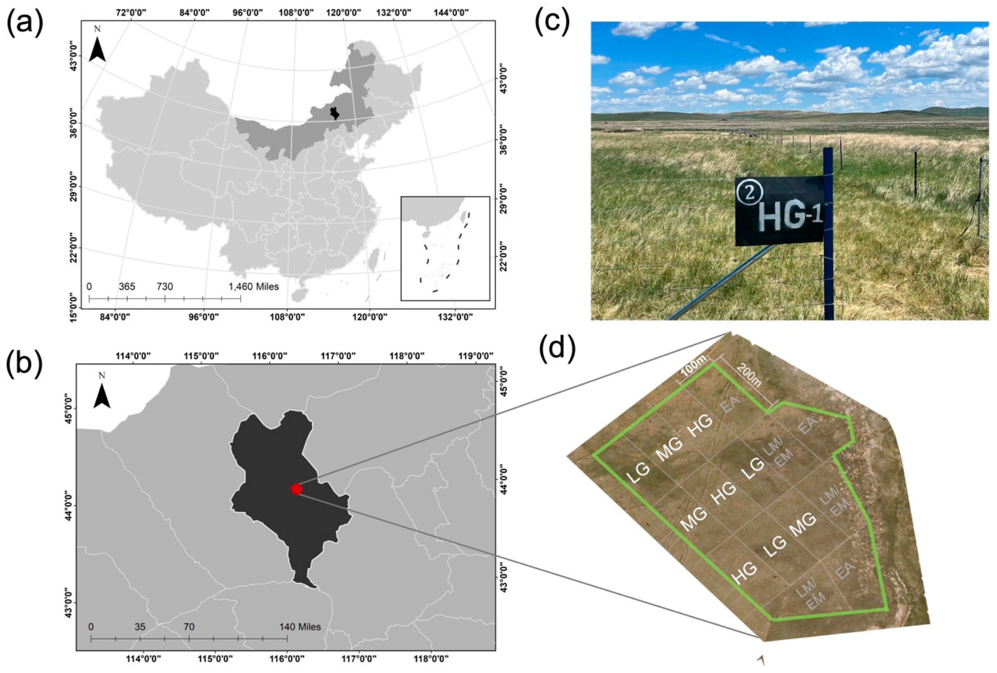 Microorganisms 13 01392 g001