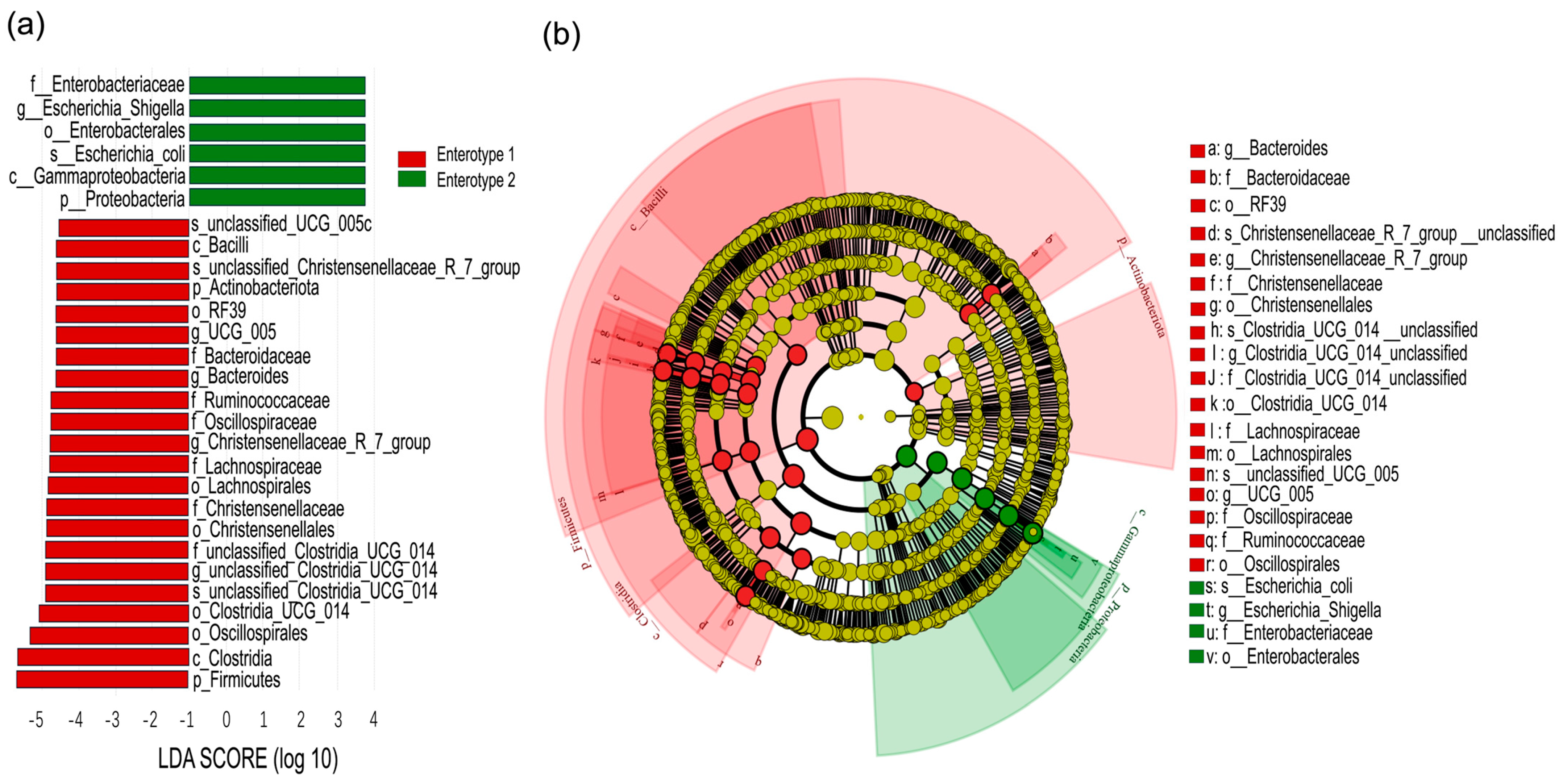 Microorganisms 13 01392 g006