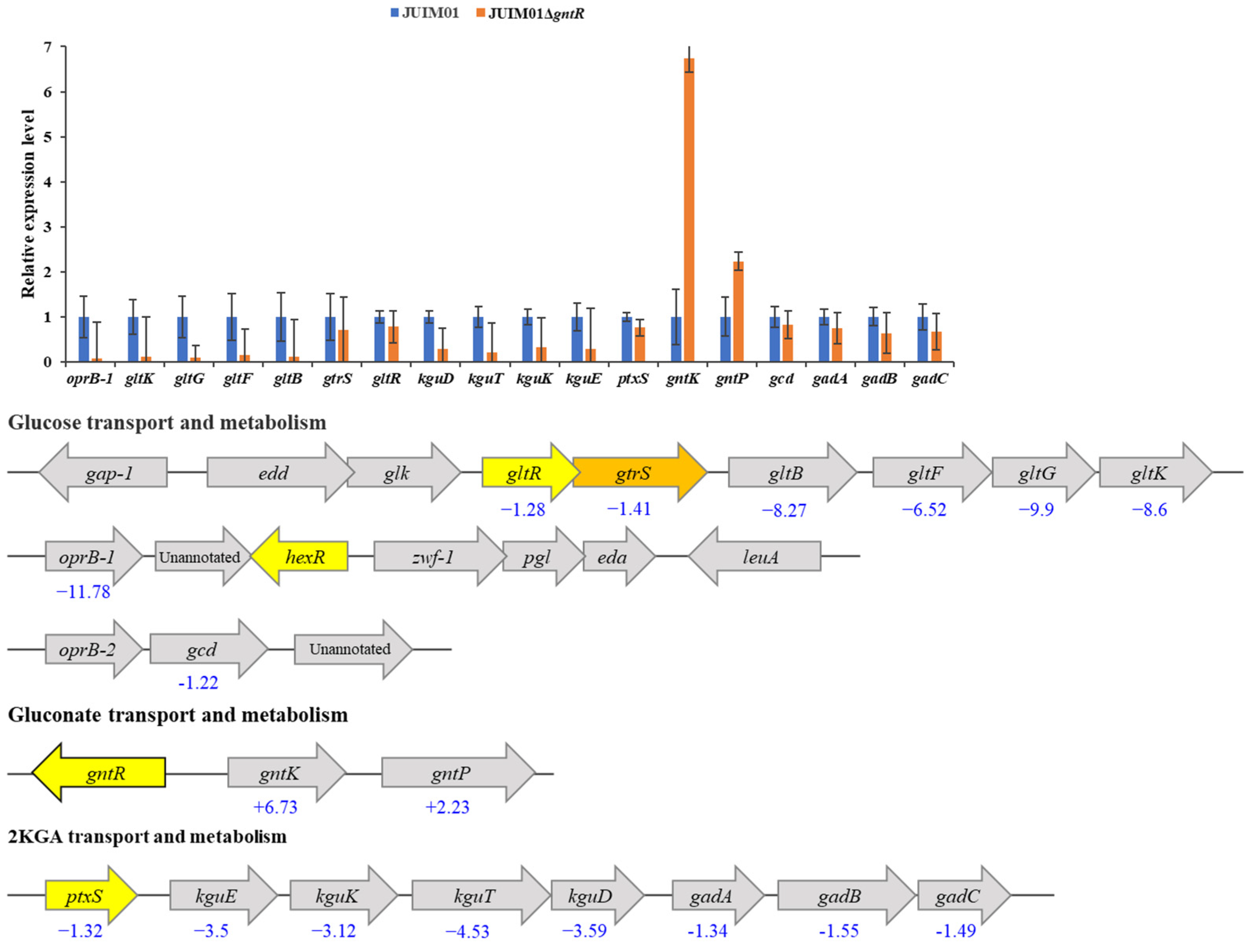 Microorganisms 13 01395 g002 Microorganisms 13 01395 g002