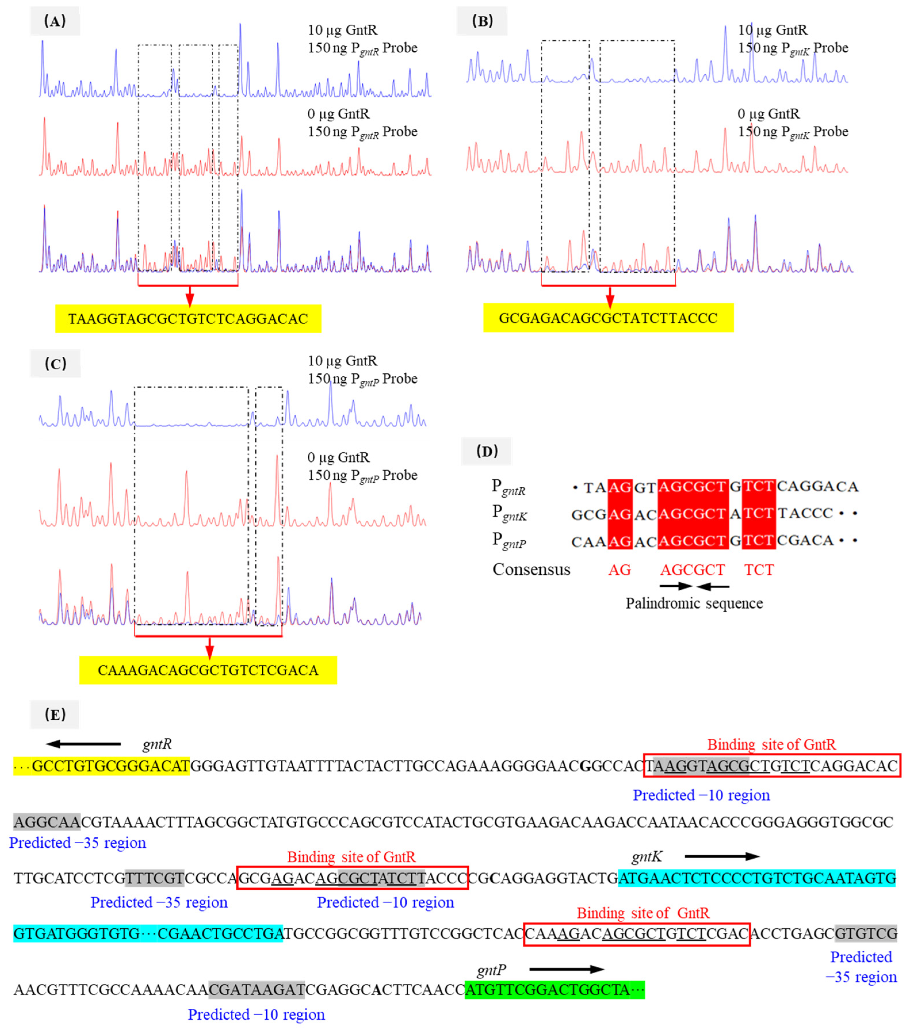 Microorganisms 13 01395 g004 Microorganisms 13 01395 g004