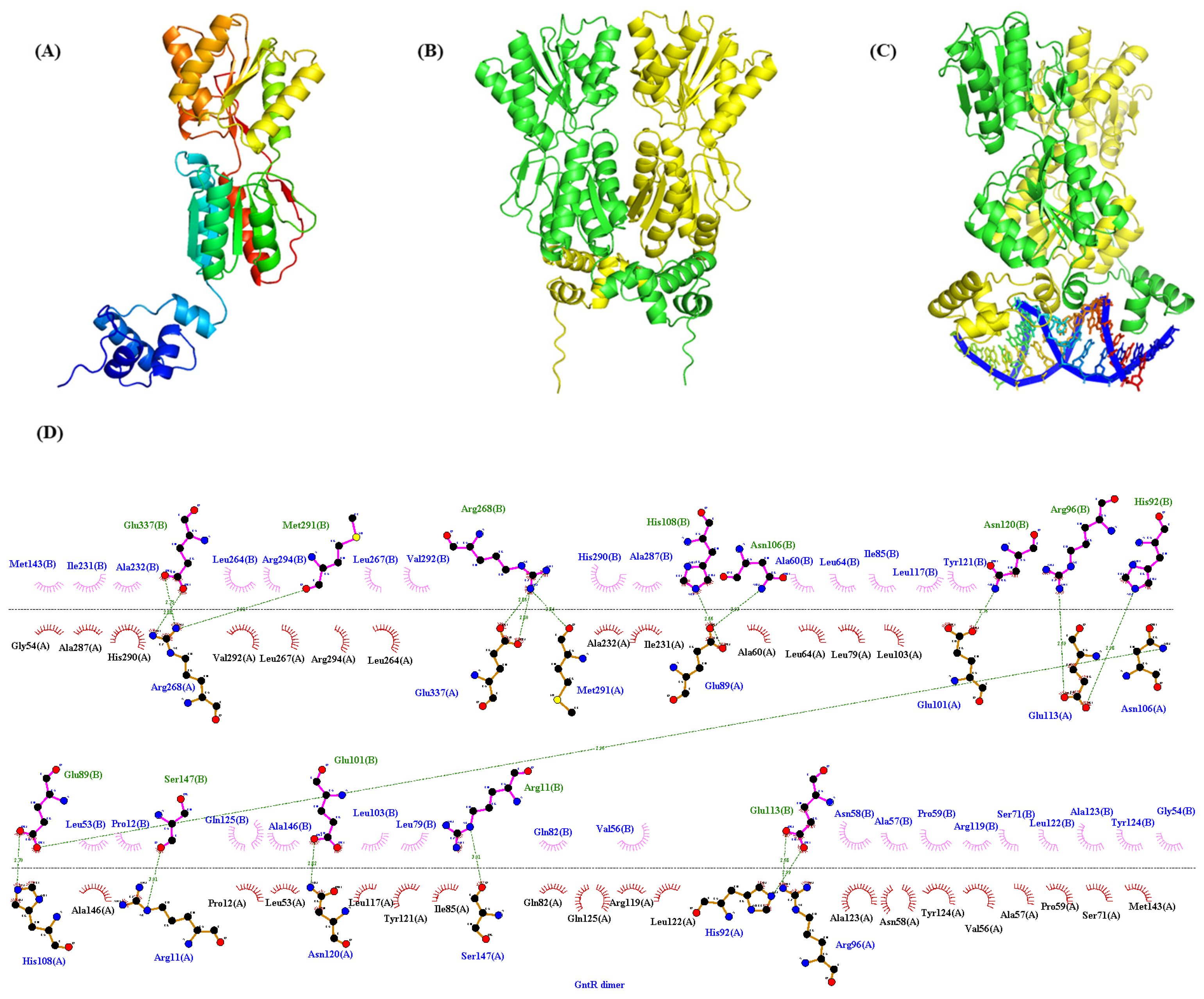 Microorganisms 13 01395 g005 Microorganisms 13 01395 g005