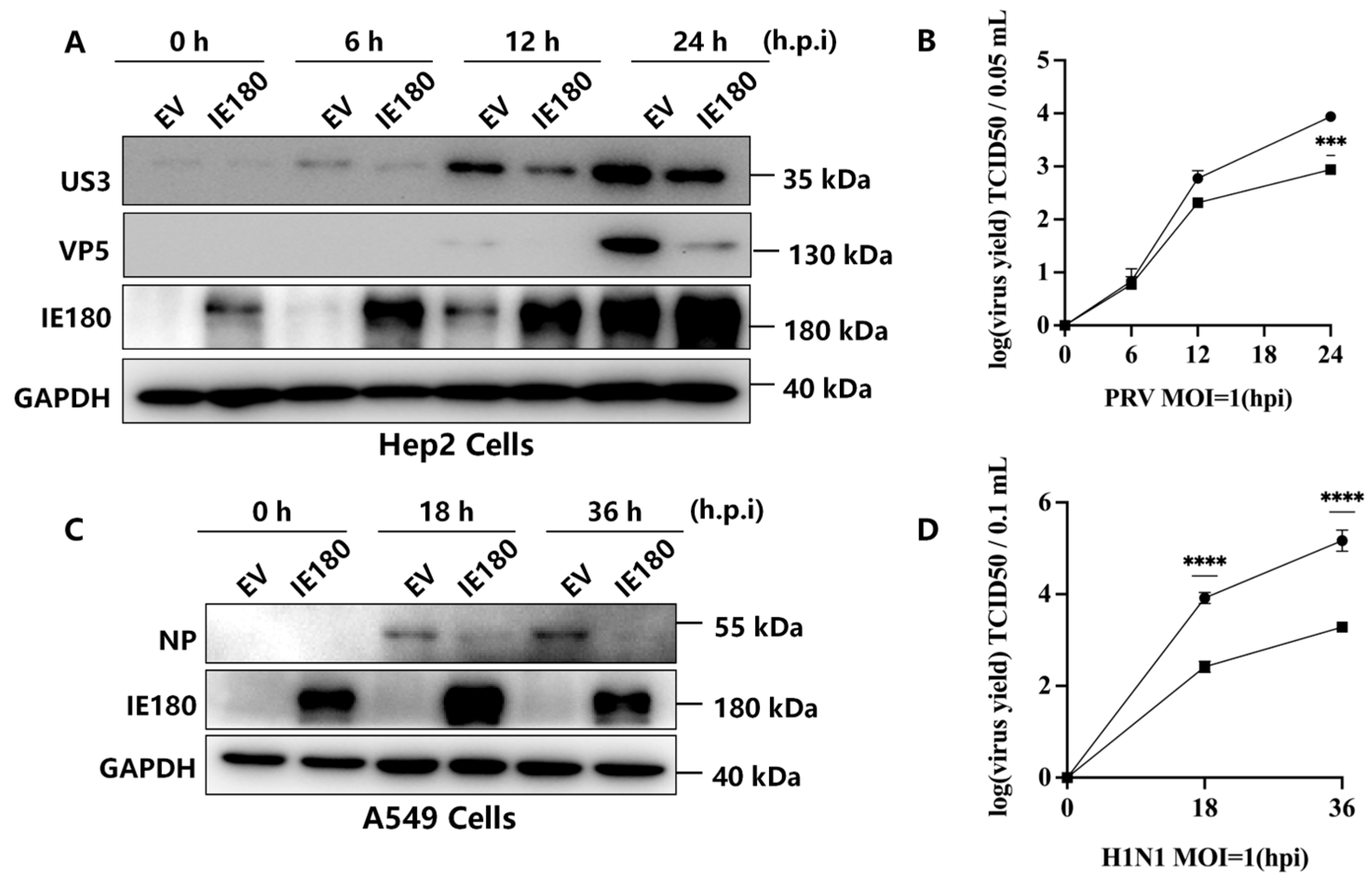 Microorganisms 13 01397 g001