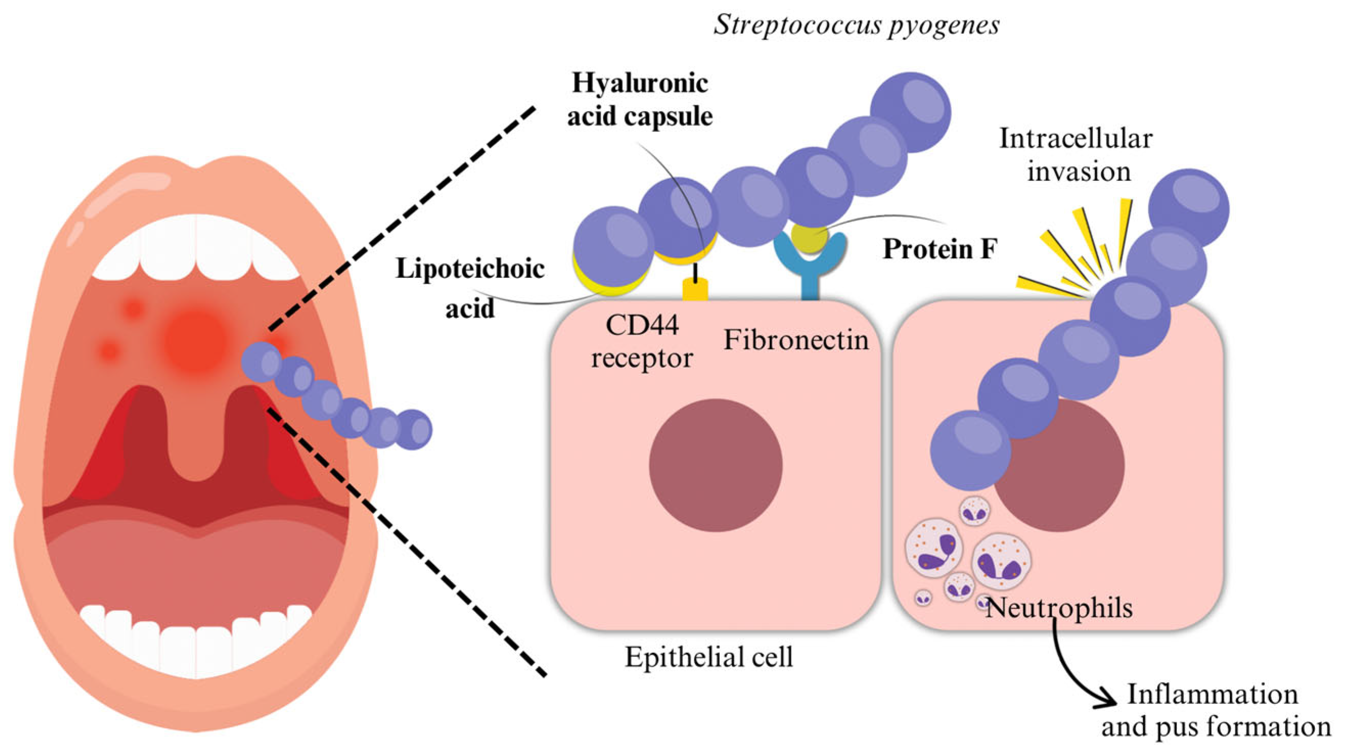 Microorganisms 13 01398 g001 Microorganisms 13 01398 g001