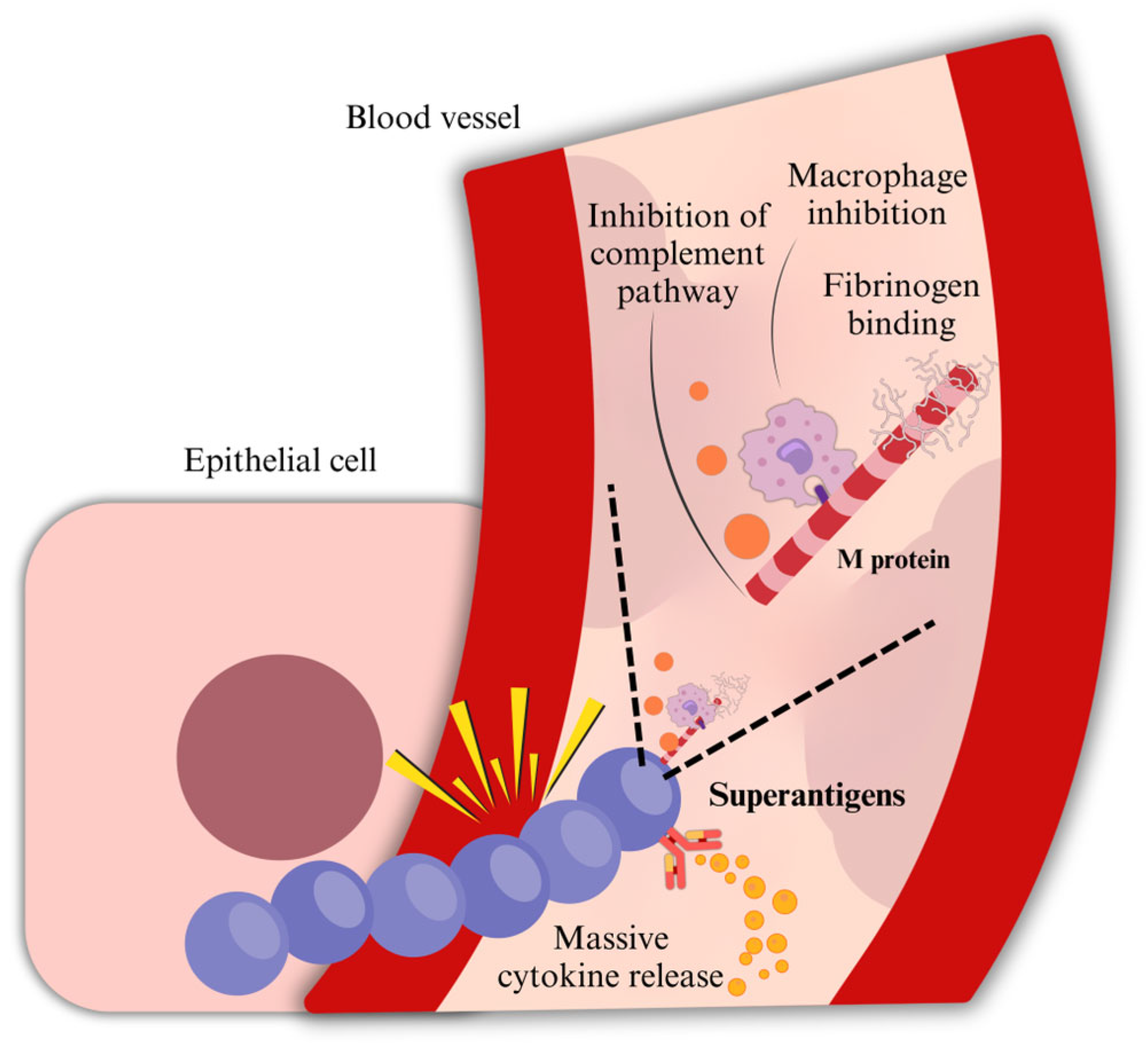 Microorganisms 13 01398 g002 Microorganisms 13 01398 g002
