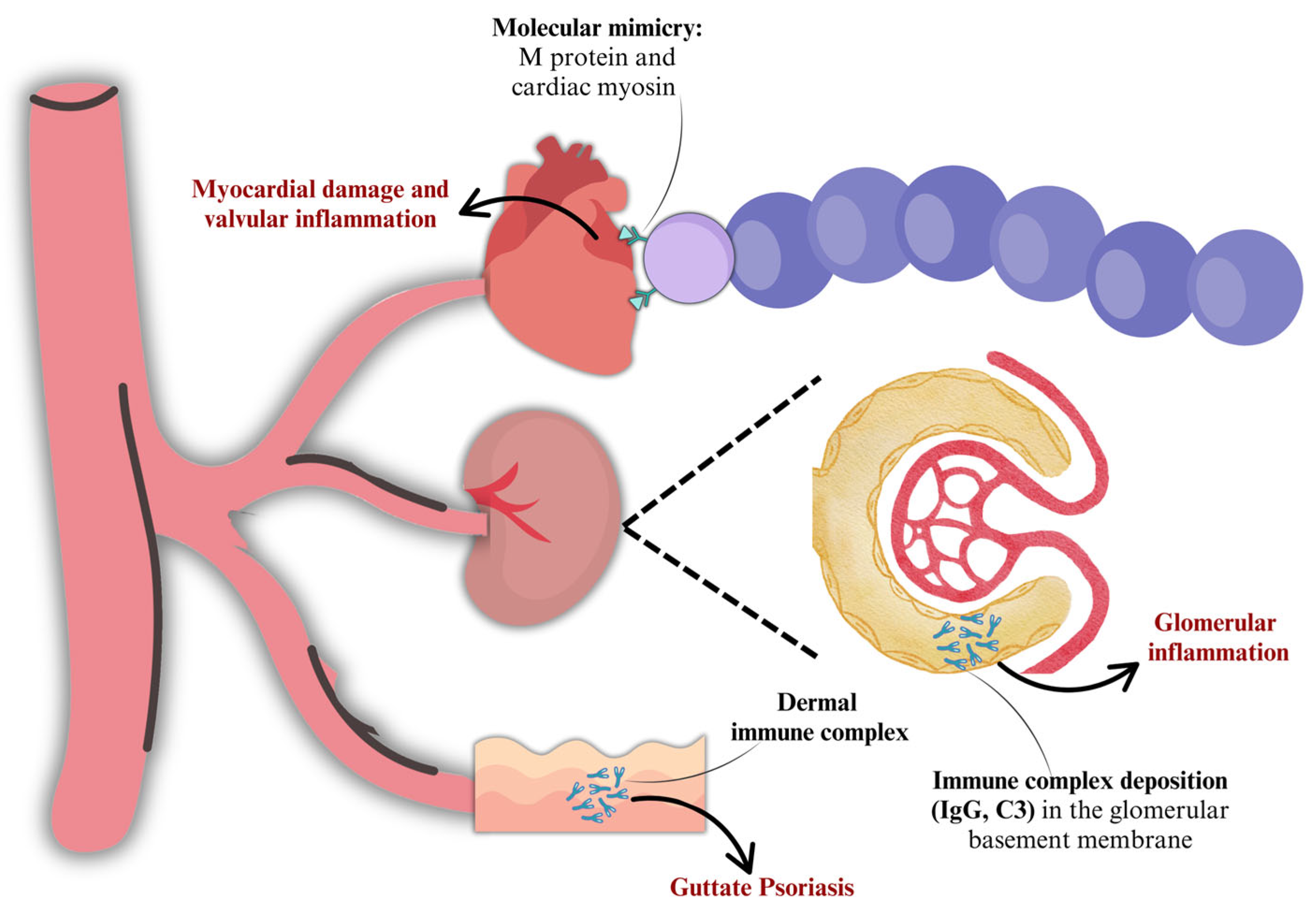 Microorganisms 13 01398 g003 Microorganisms 13 01398 g003