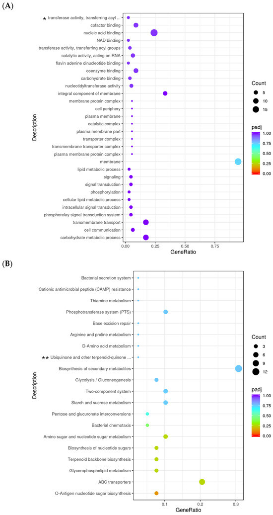 39！ Tenleaf Brown Wood Outdoor Lounge Chair with Beige Cushion