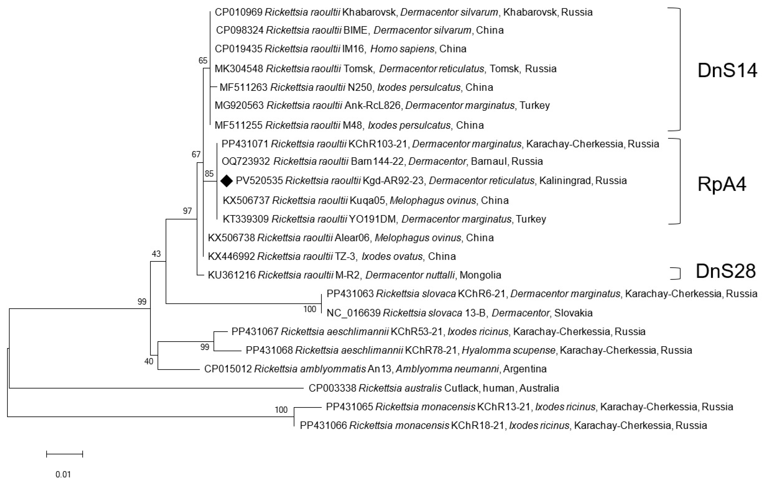 Microorganisms 13 01403 g003