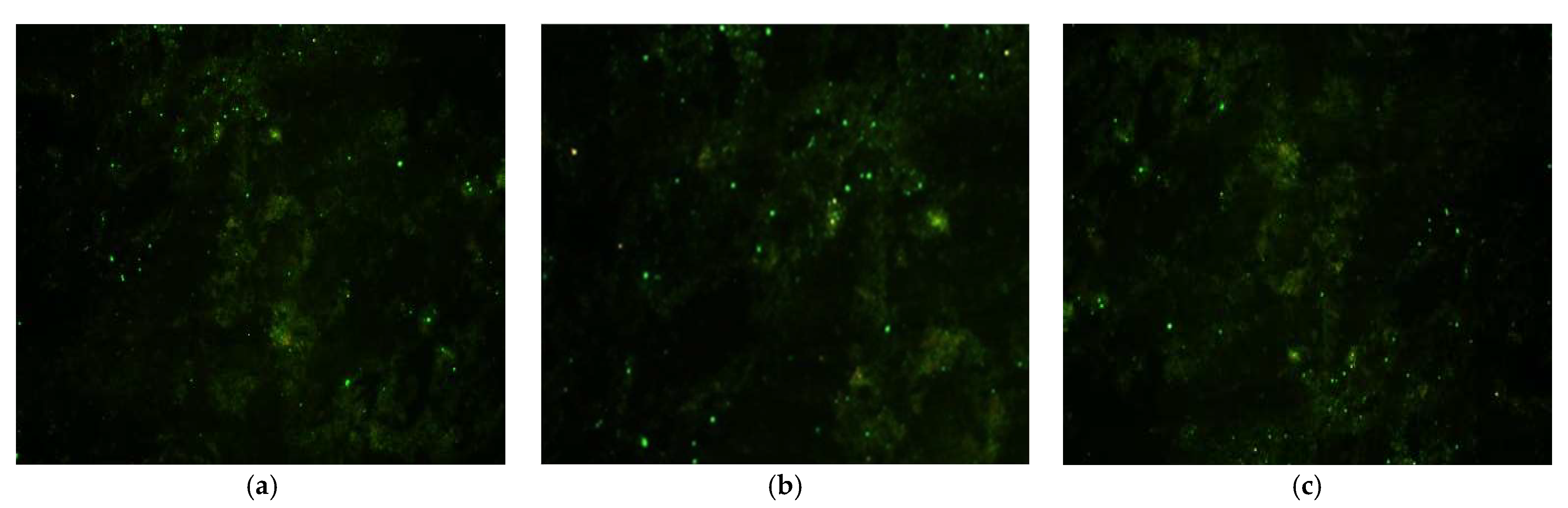 Microorganisms 13 01417 g004