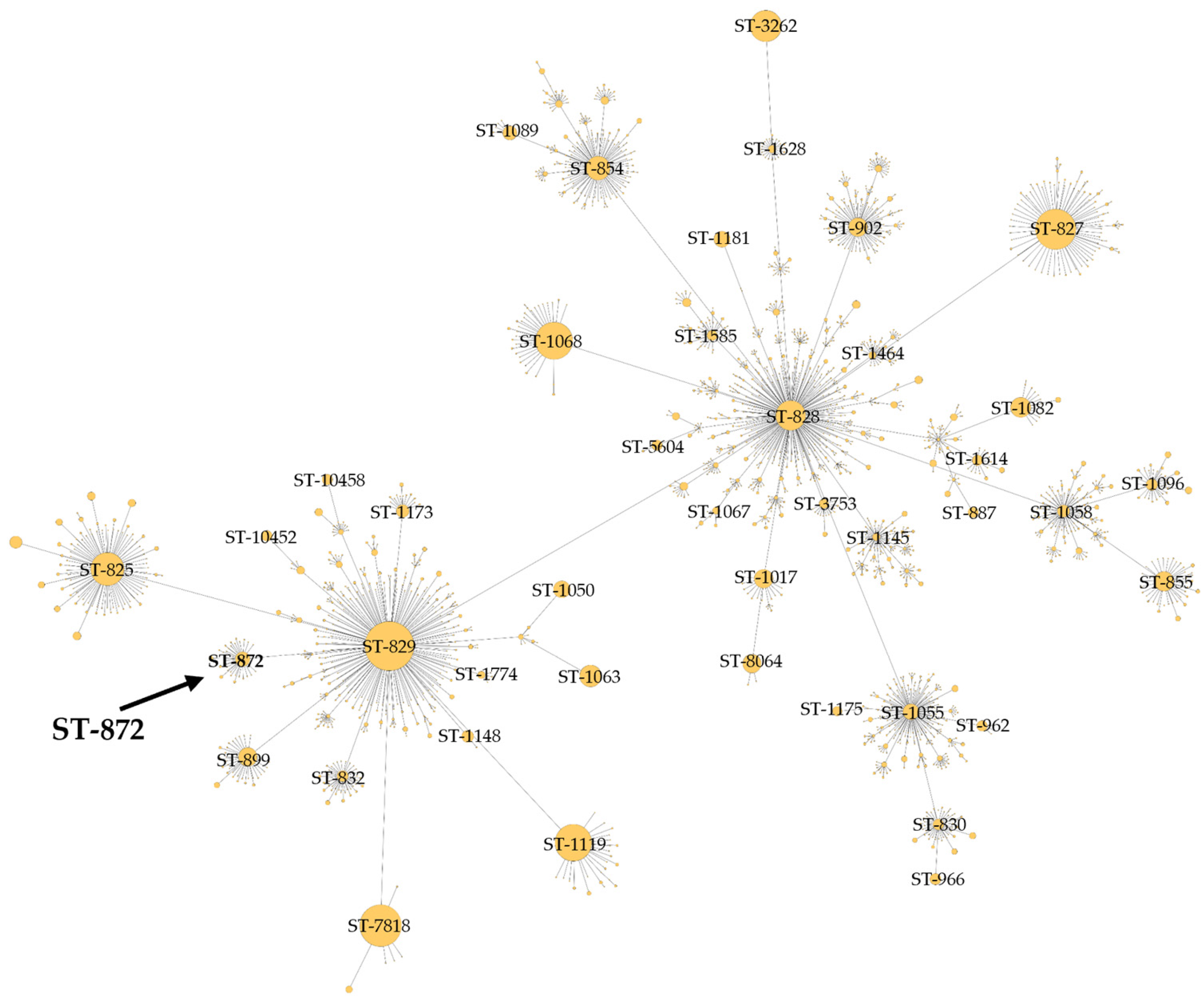 Microorganisms 13 01420 g003