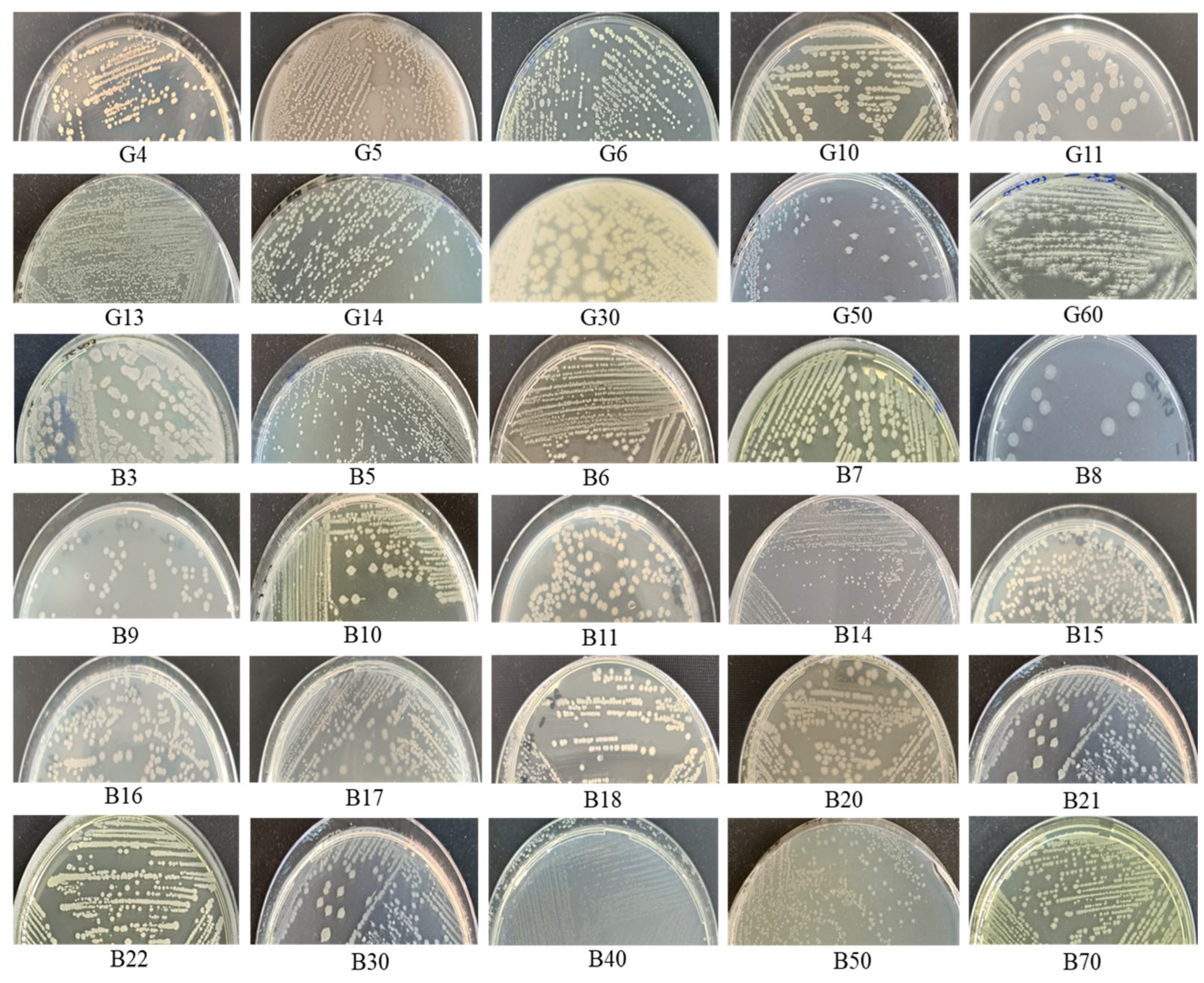 Microorganisms 13 01425 g001