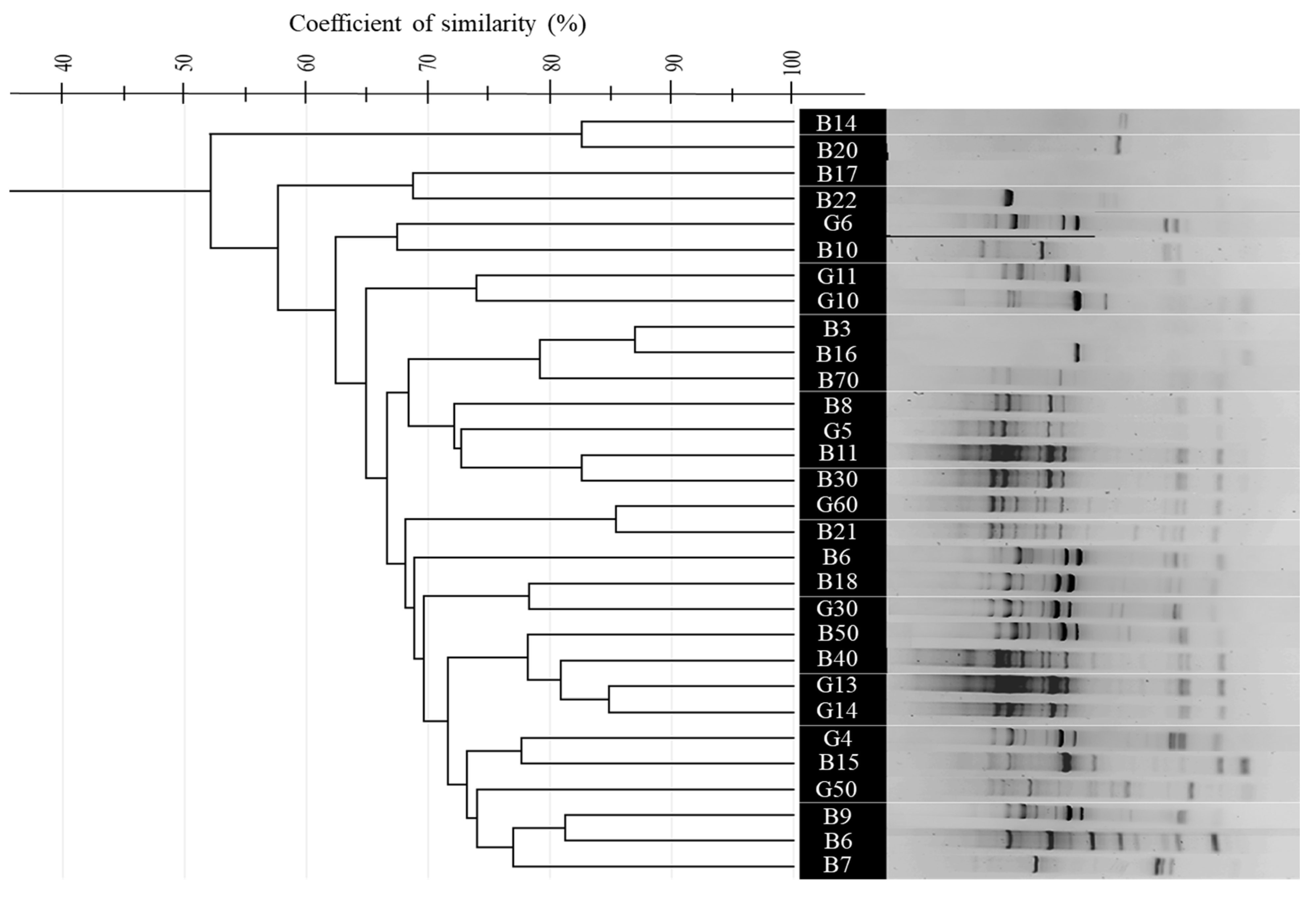 Microorganisms 13 01425 g005