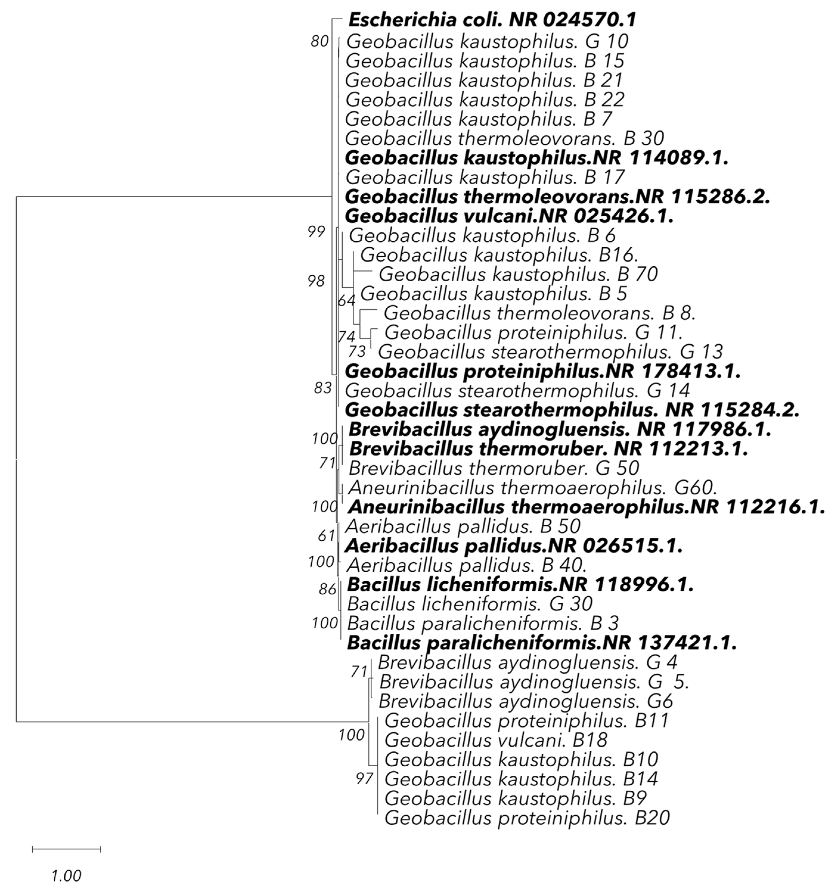Microorganisms 13 01425 g006
