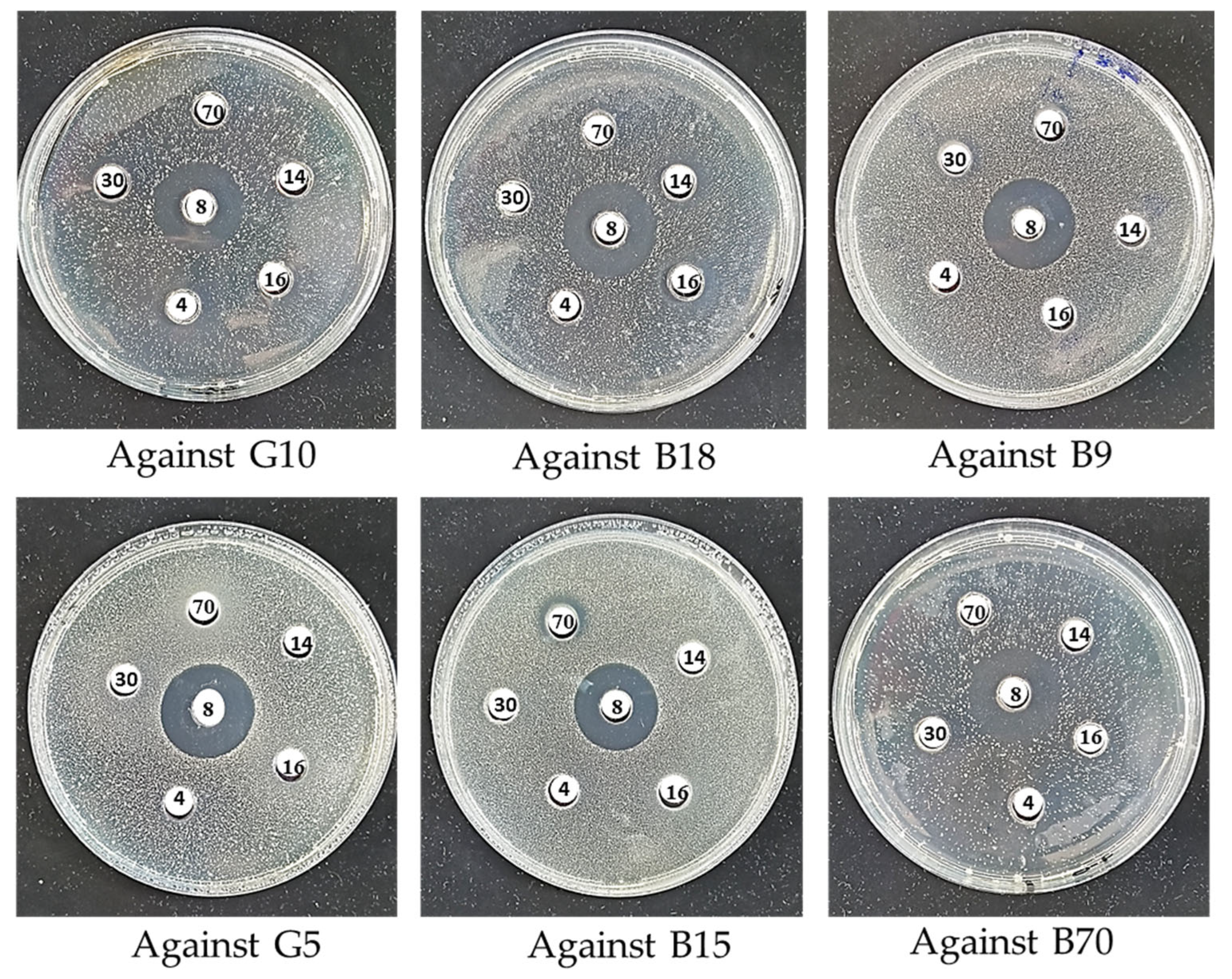 Microorganisms 13 01425 g007