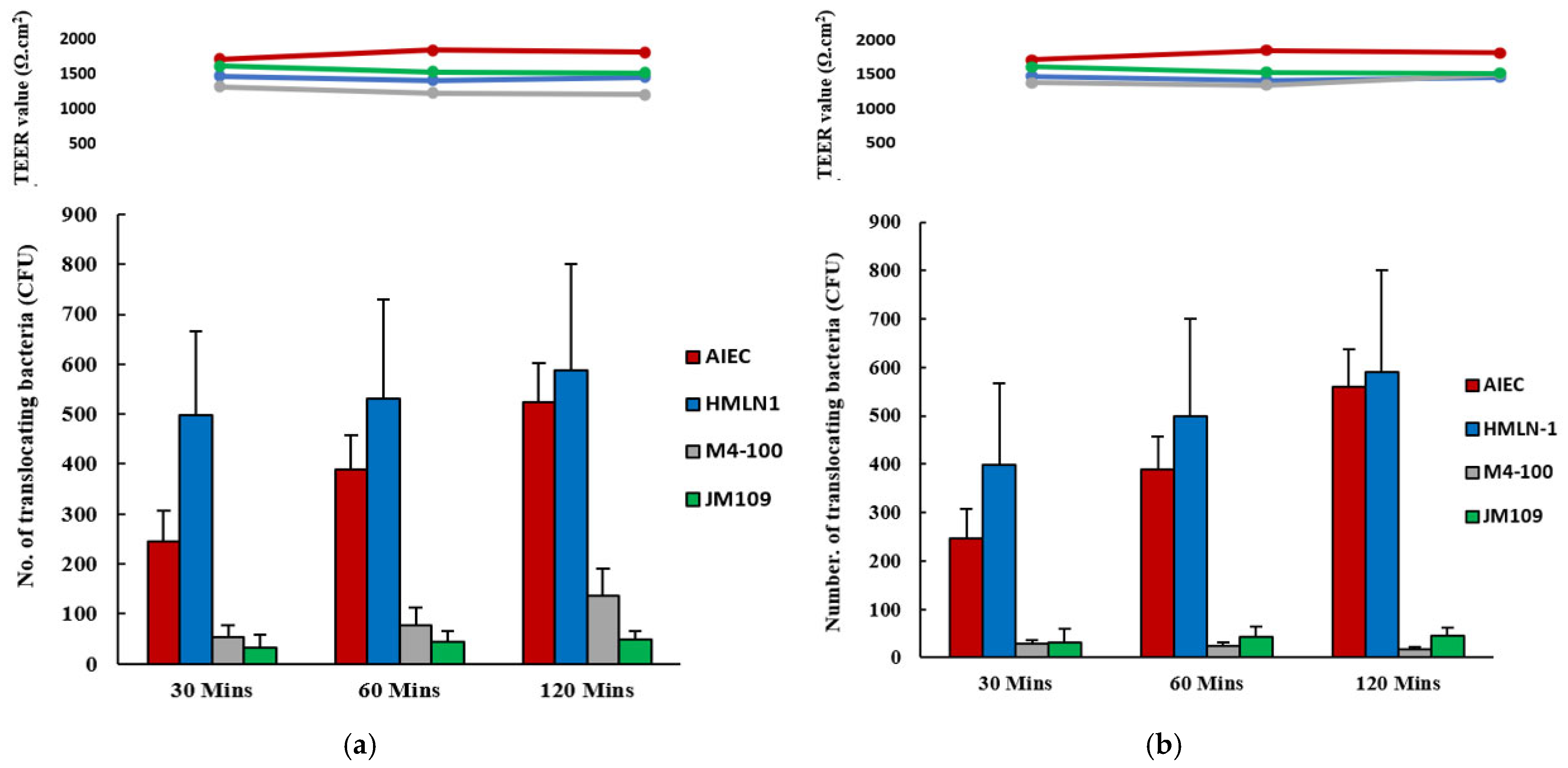 Microorganisms 13 01428 g004