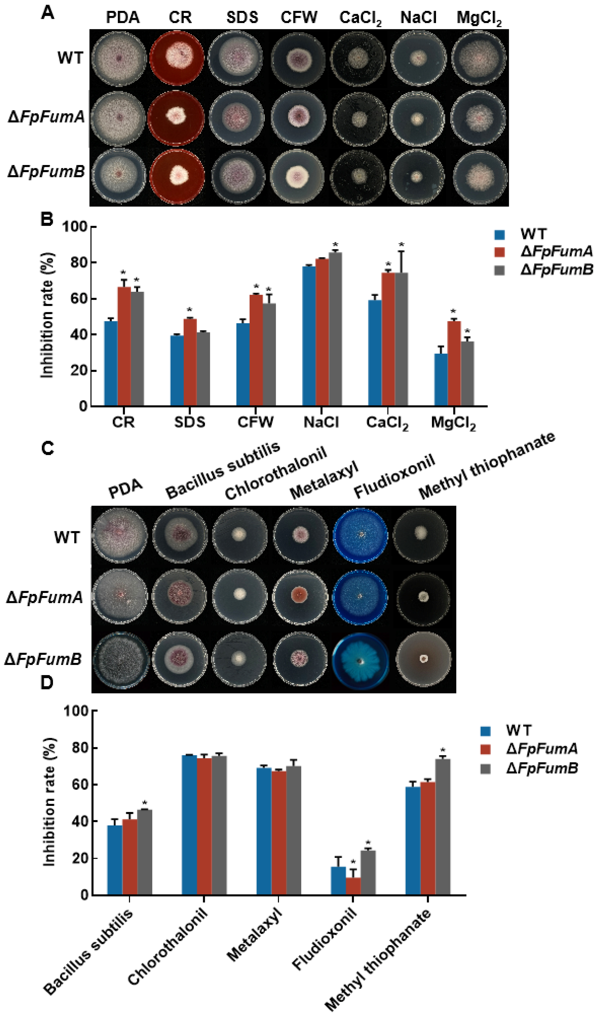 Microorganisms 13 01433 g002