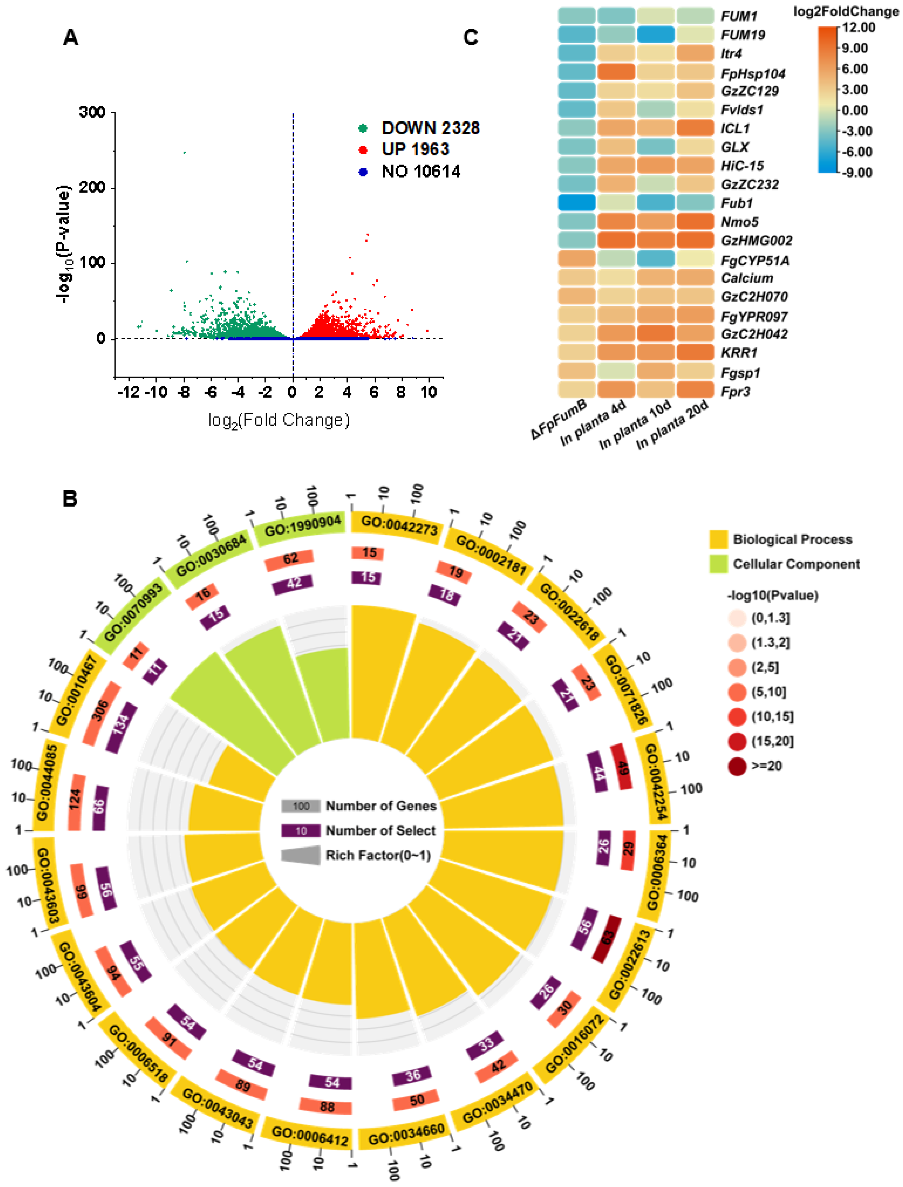 Microorganisms 13 01433 g006