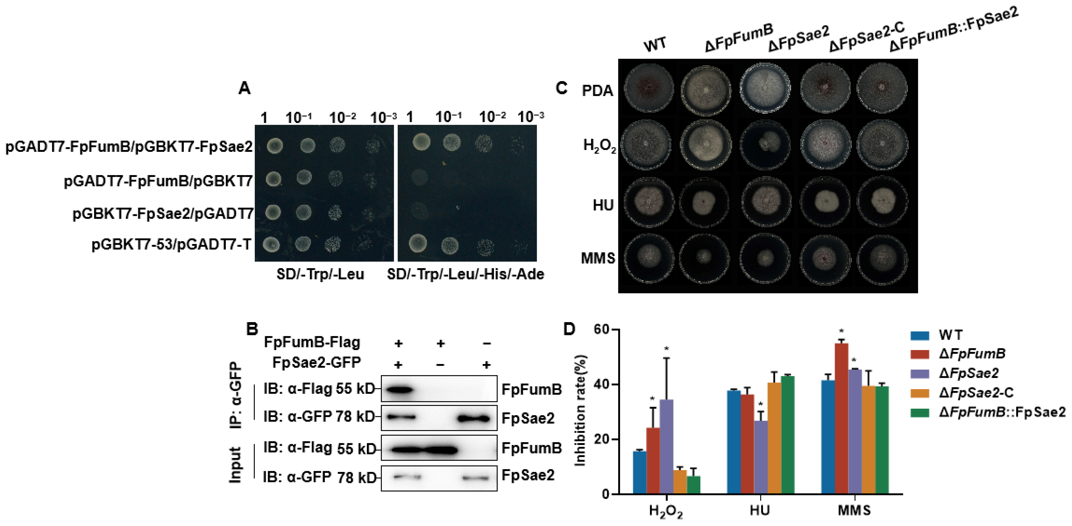 Microorganisms 13 01433 g007