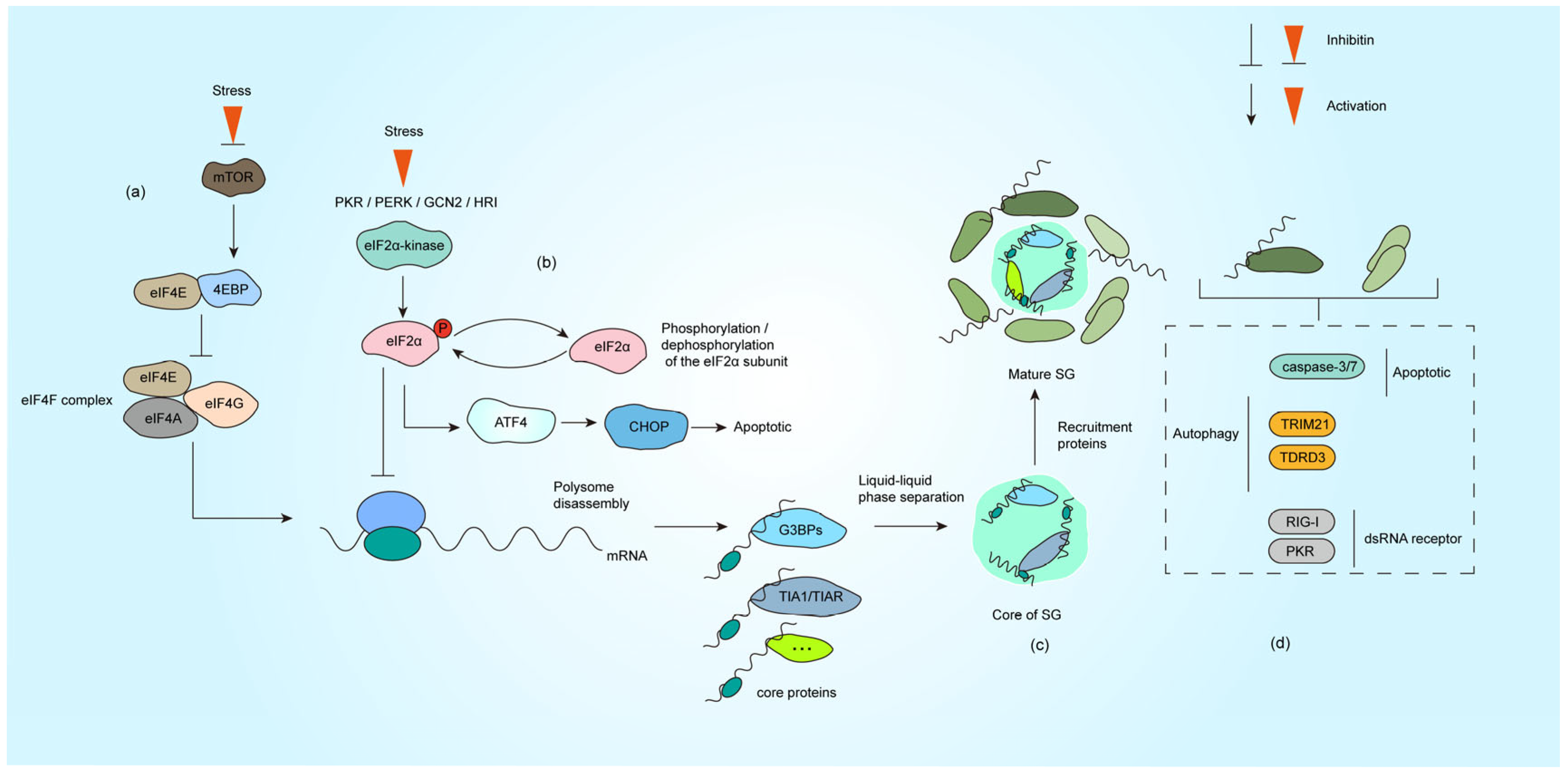 Microorganisms 13 01434 g001