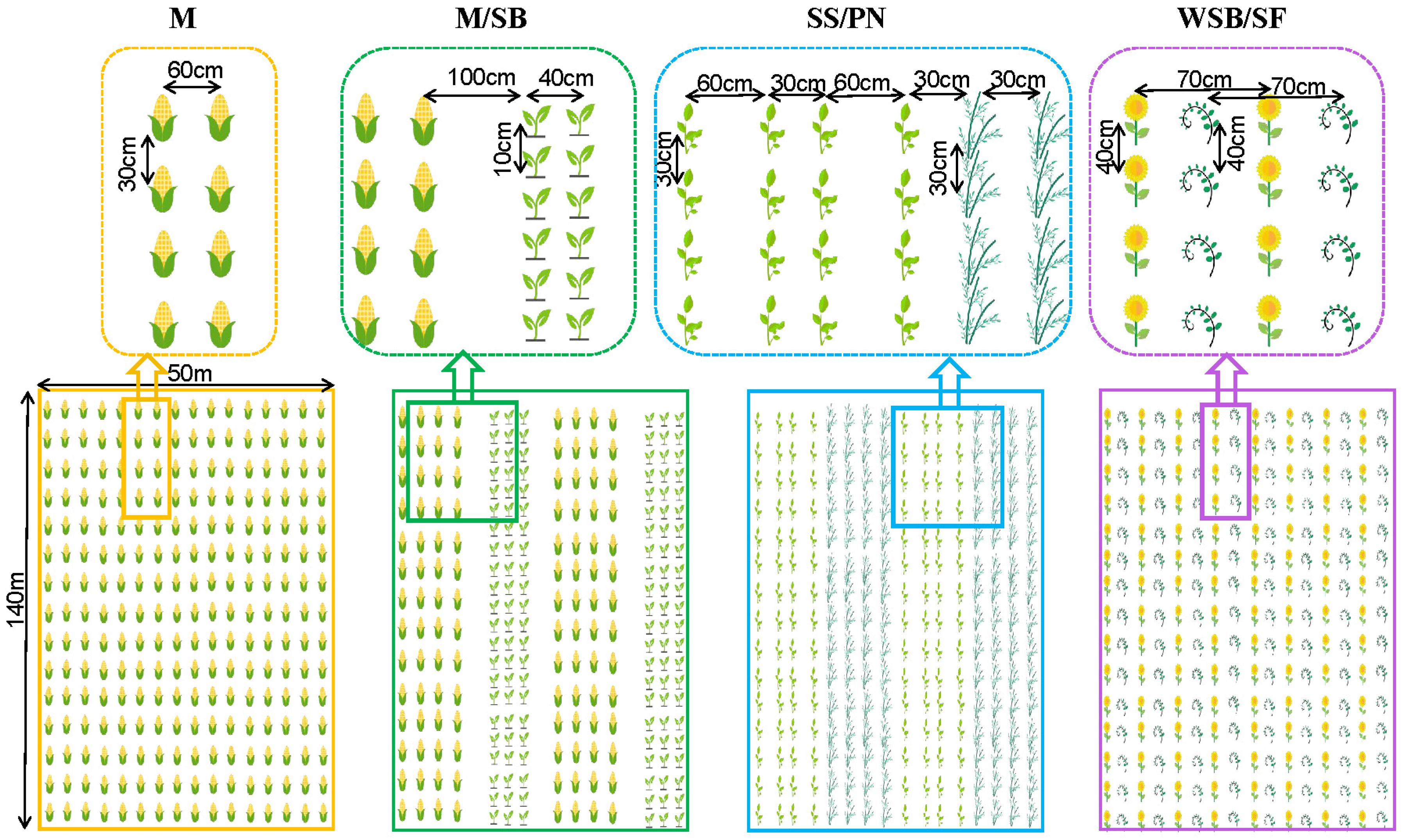 Microorganisms 13 01436 g001