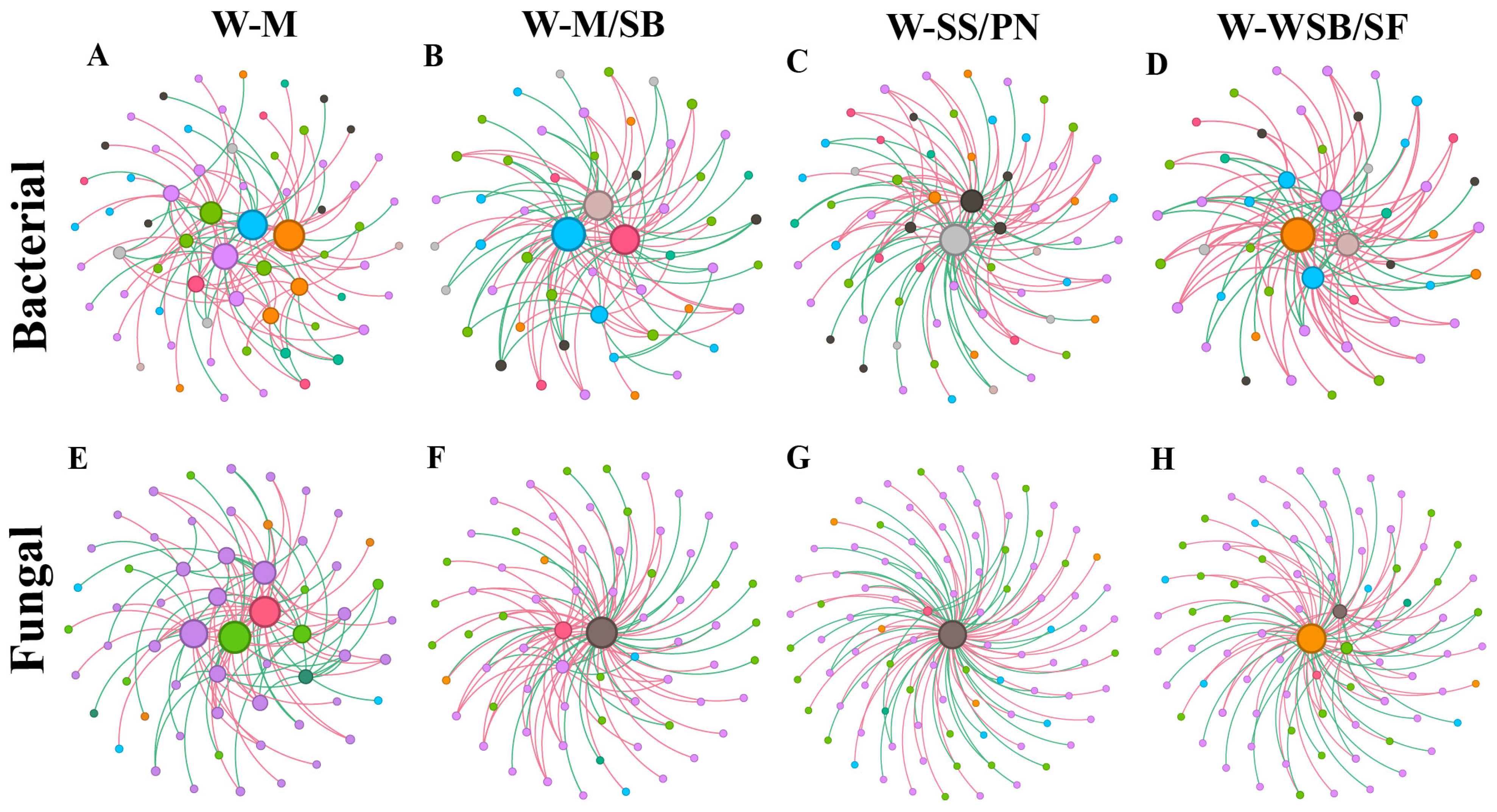Microorganisms 13 01436 g006